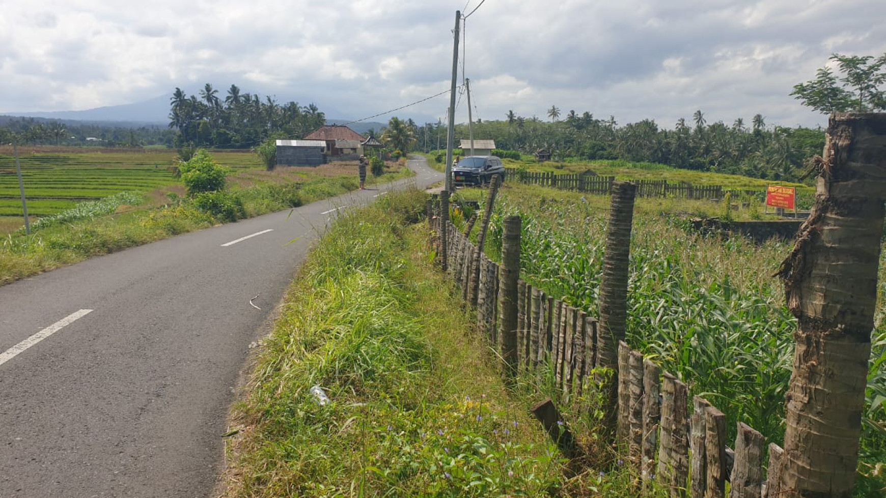 Tanah 3150 m2 di  Selemadeg Tabanan Bali 