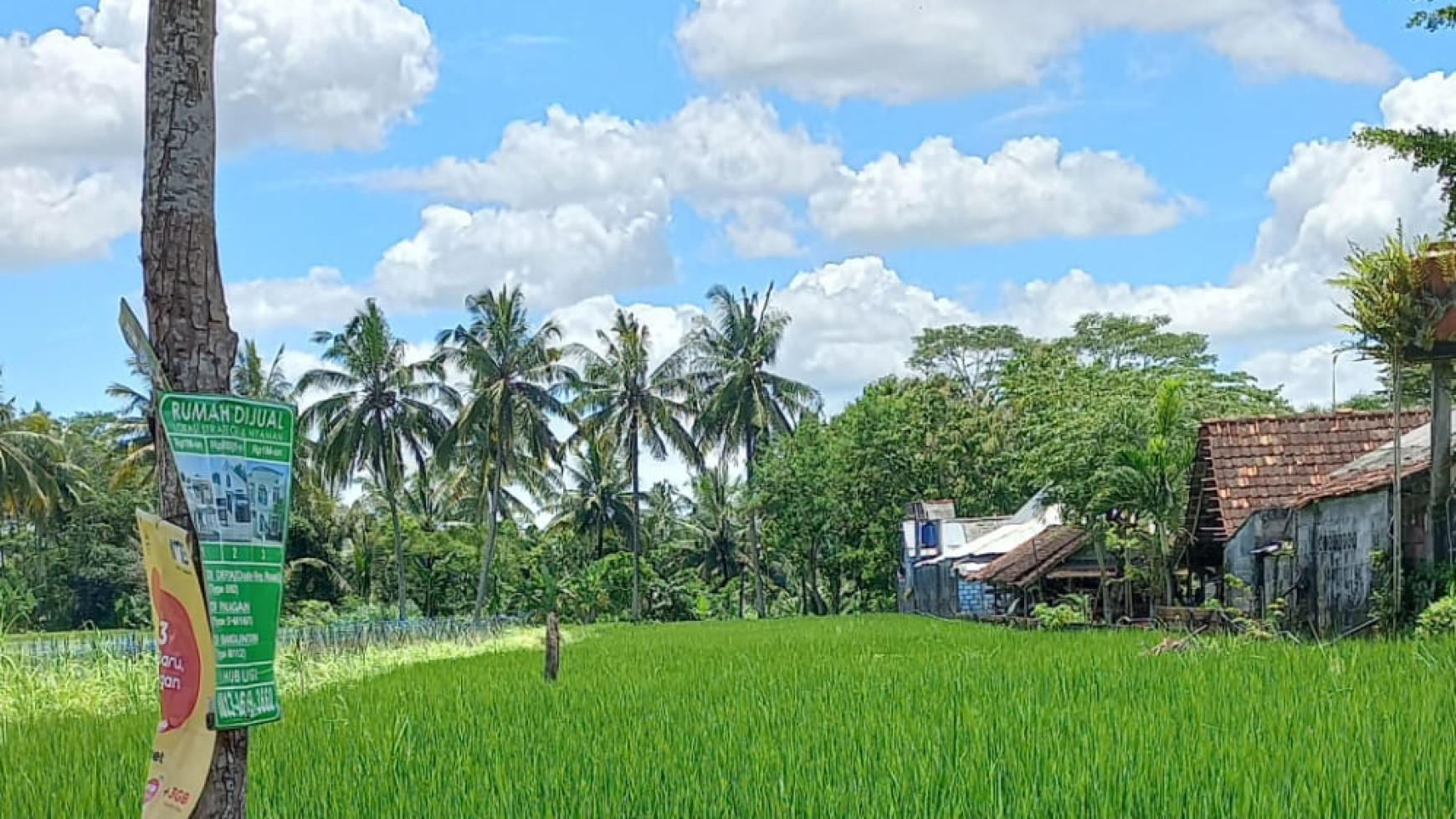 TANAH LUAS DI PANDOWOHARJO SLEMAN