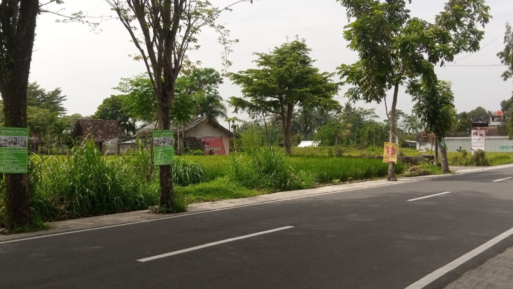 TANAH LUAS DI PANDOWOHARJO SLEMAN