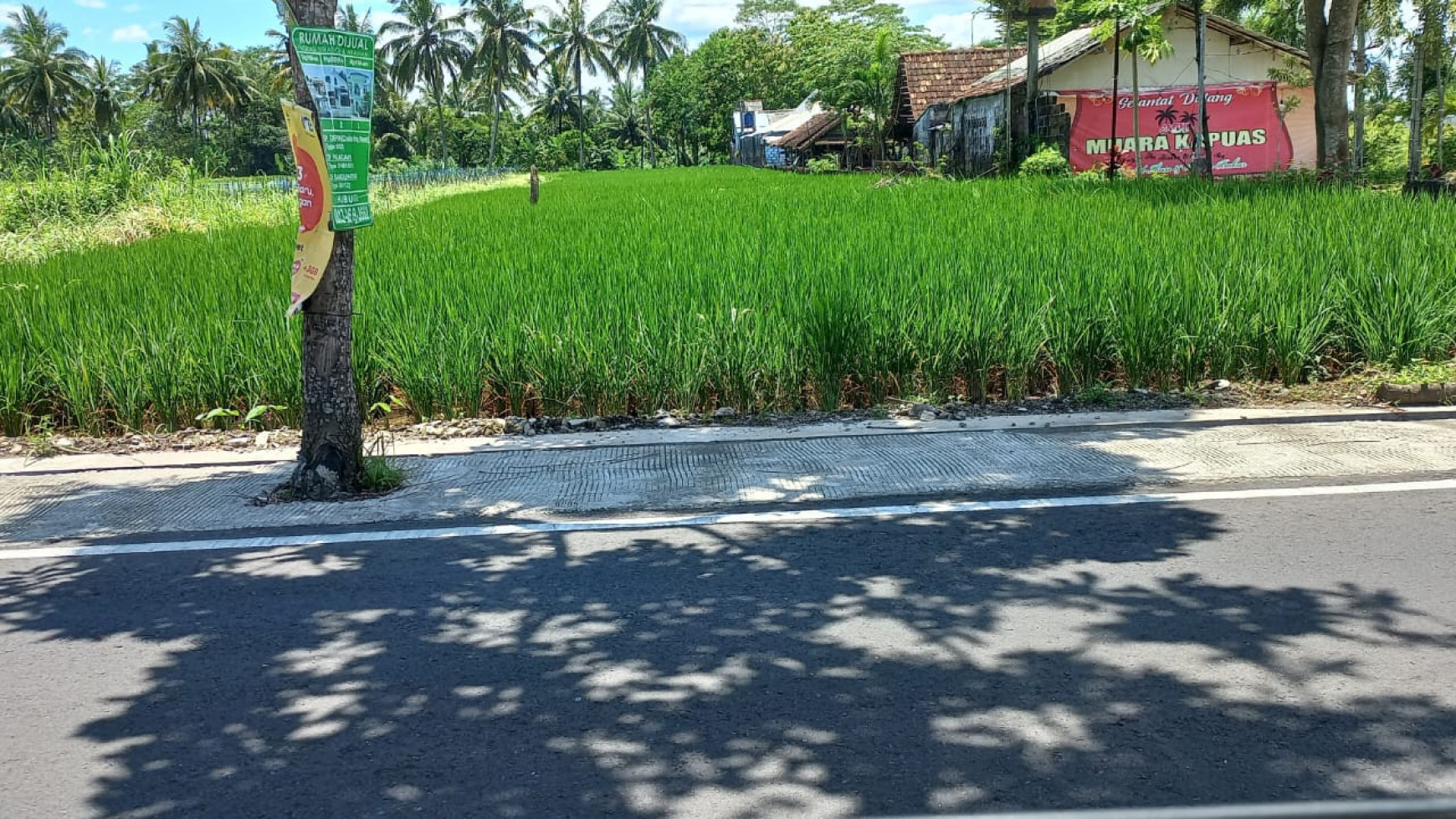 TANAH LUAS DI PANDOWOHARJO SLEMAN