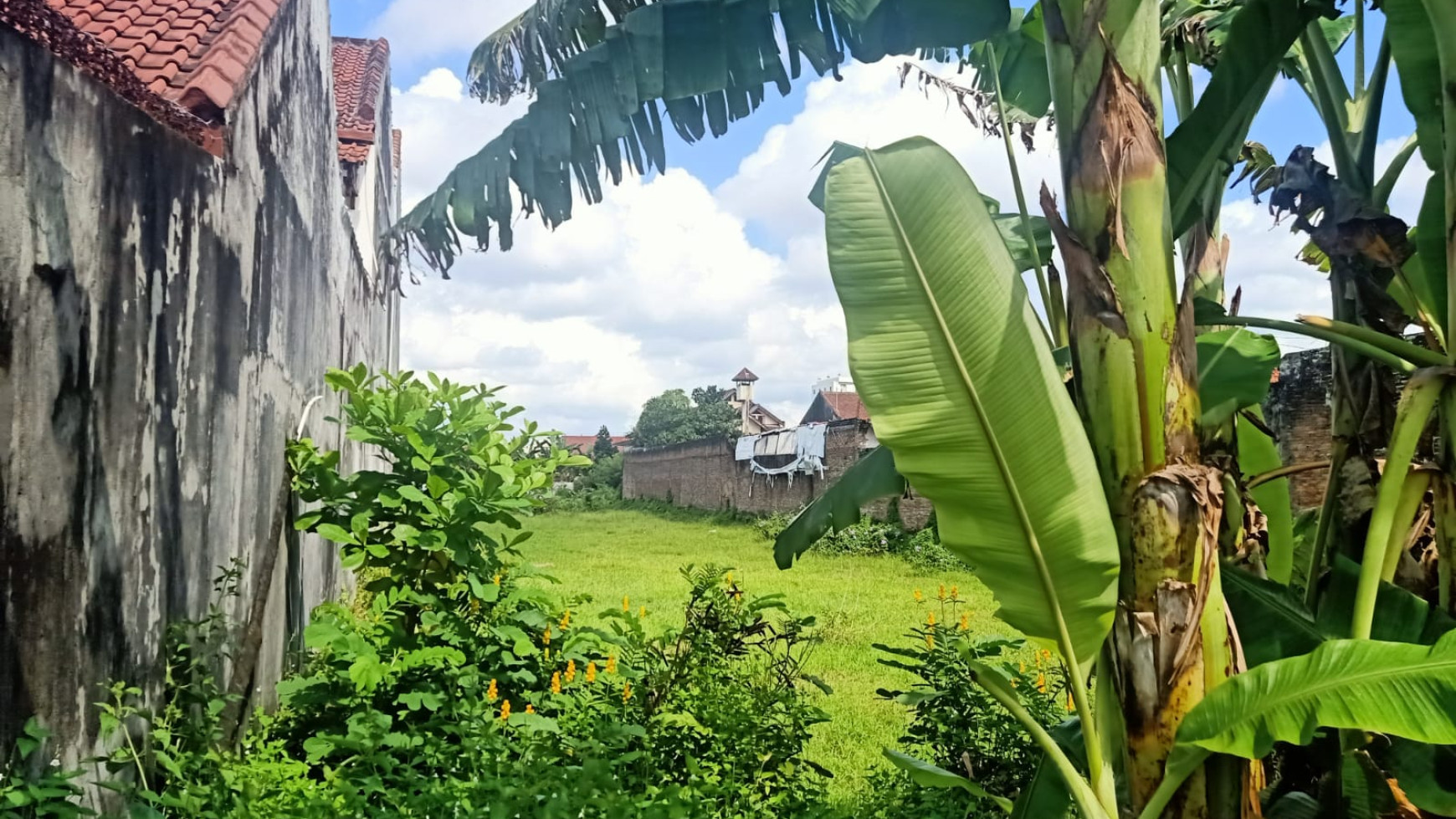 Tanah Sawah Luas Dekat XT-Square,  Kodya Yogyakarta 