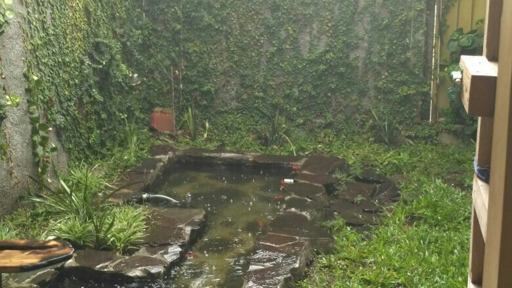 RUMAH CANTIK BERDESAIN MENARIK DENGAN HALAMAN LUAS DALAM KOTA YOGYAKARTA