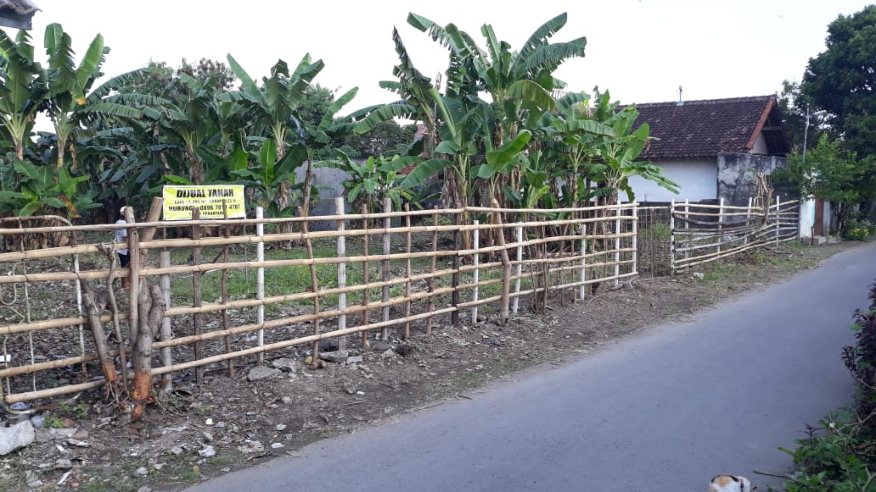 TANAH LUAS DI UMBULHARJO KODYA YOGYAKARTA