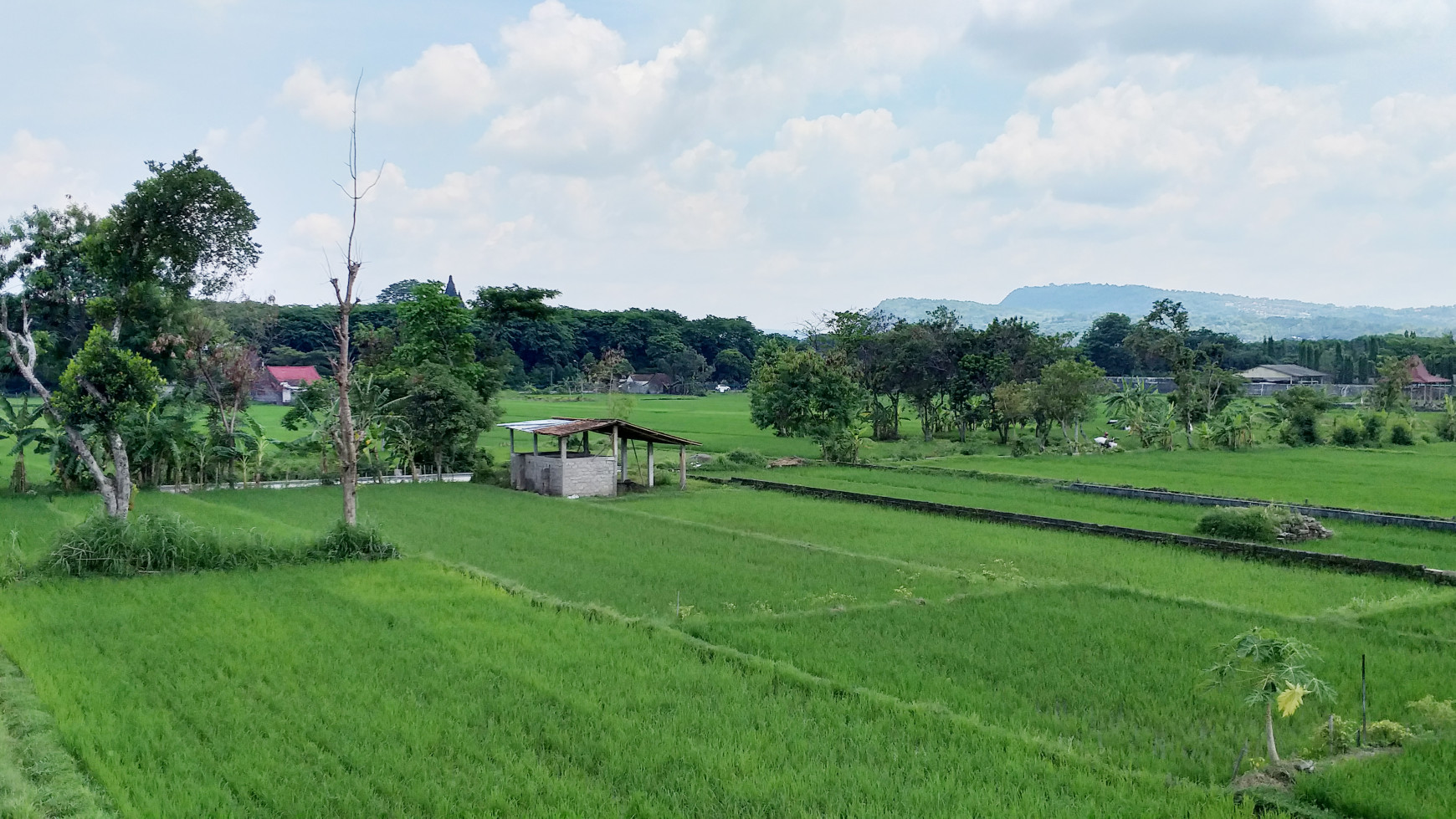 HOME STAY, DEKAT CANDI PRMABANAN, TAMANMARTANI, KALASAN