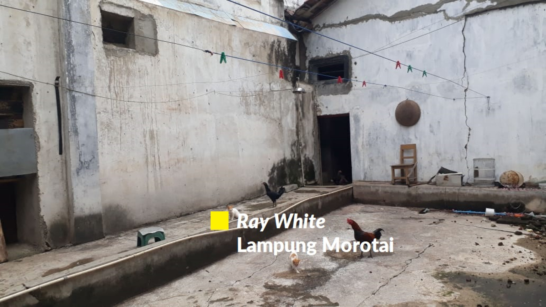 Dijual Ruko 4 Pintu  4 Lantai Pringsewu, Lampung