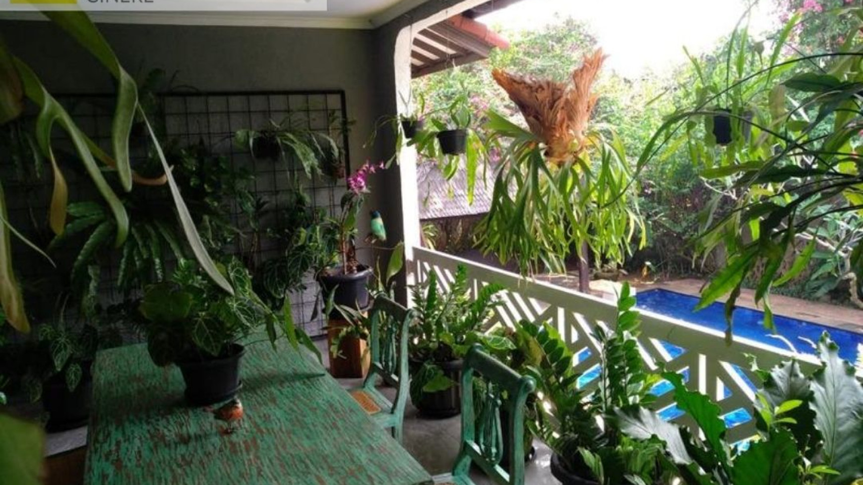 Rumah Cantik Super Asri Di Jagakarsa Jakarta Selatan