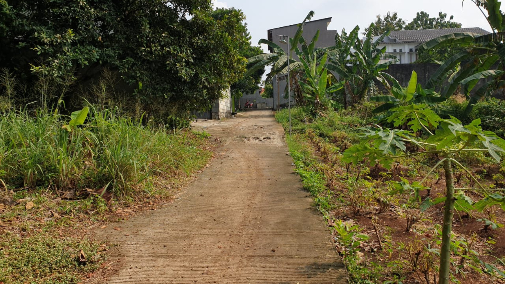 Tanah 4670m2 Cocok Untuk Cluster Di Depok