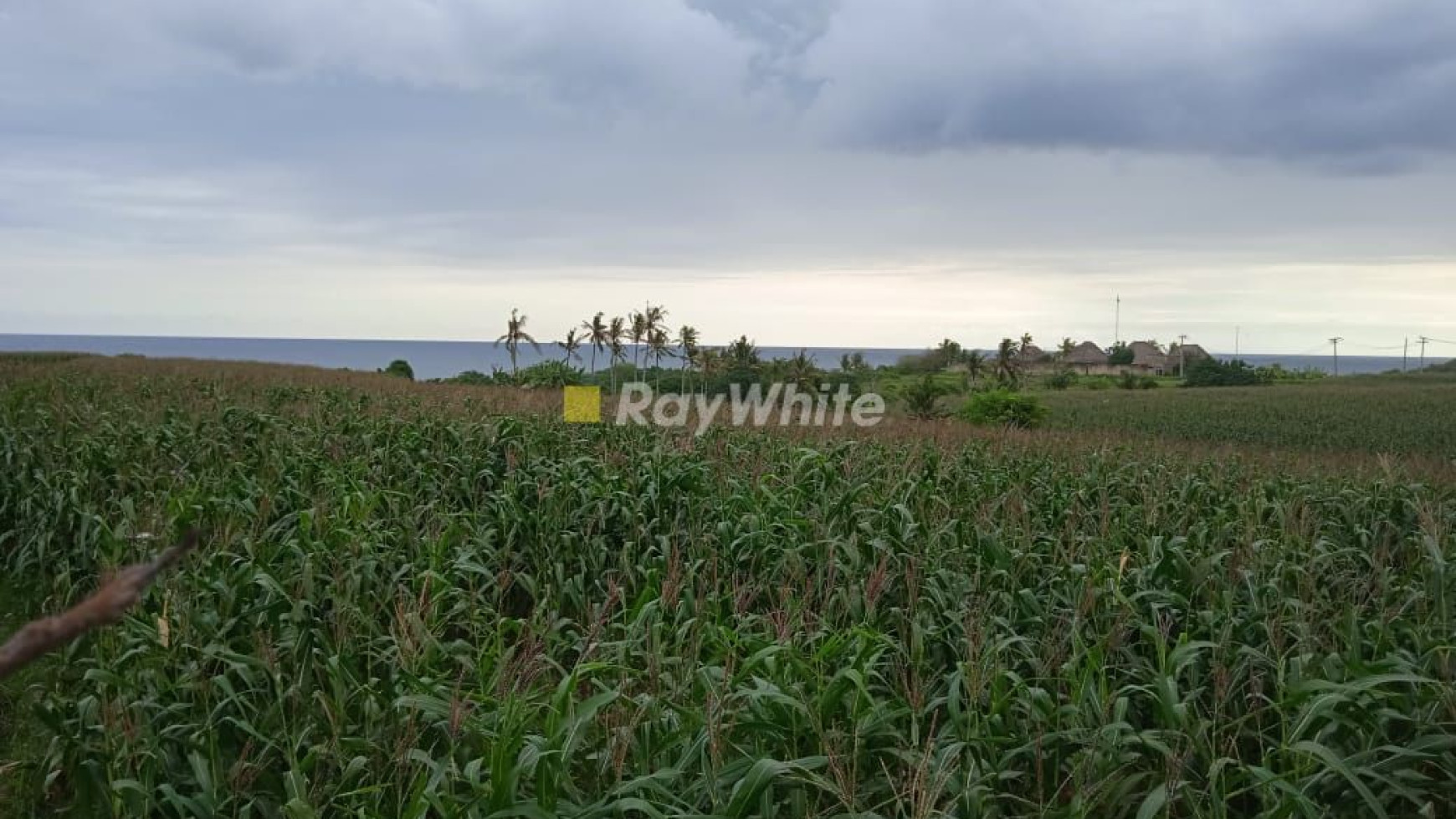 Tanah Bagus Dekat Pantai, Bisa Dibeli Per Kavling di Tabanan, Bali