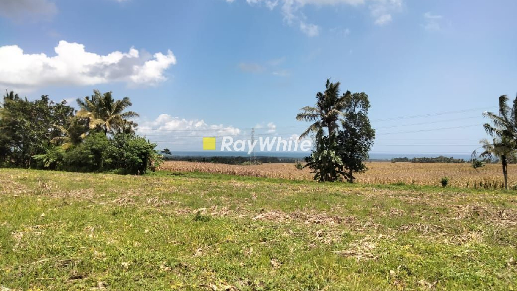 Land For Sale 2.000 sqm or 20 are at Tangguntiti, Tabanan, Bali