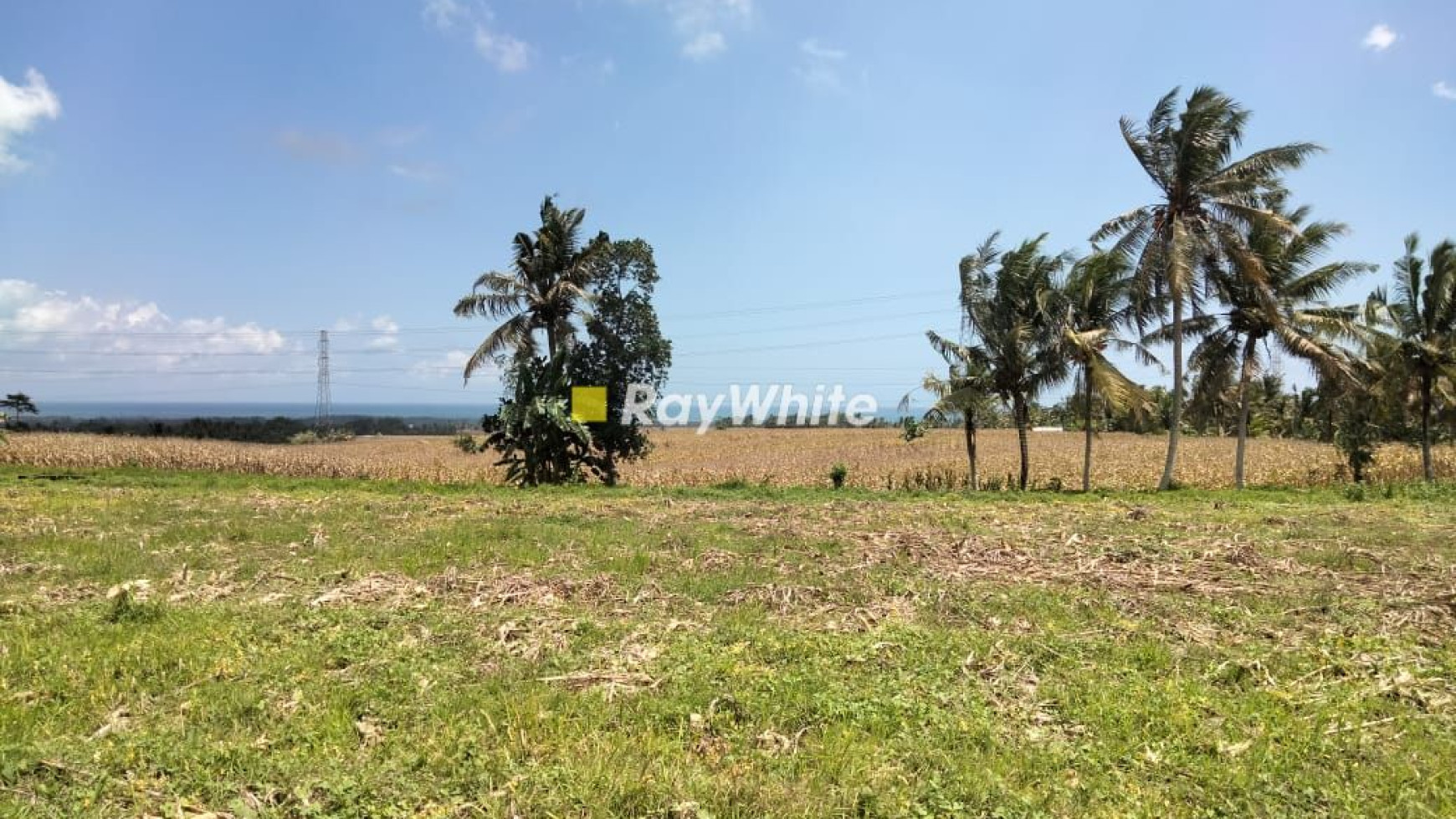 Land For Sale 2.000 sqm or 20 are at Tangguntiti, Tabanan, Bali