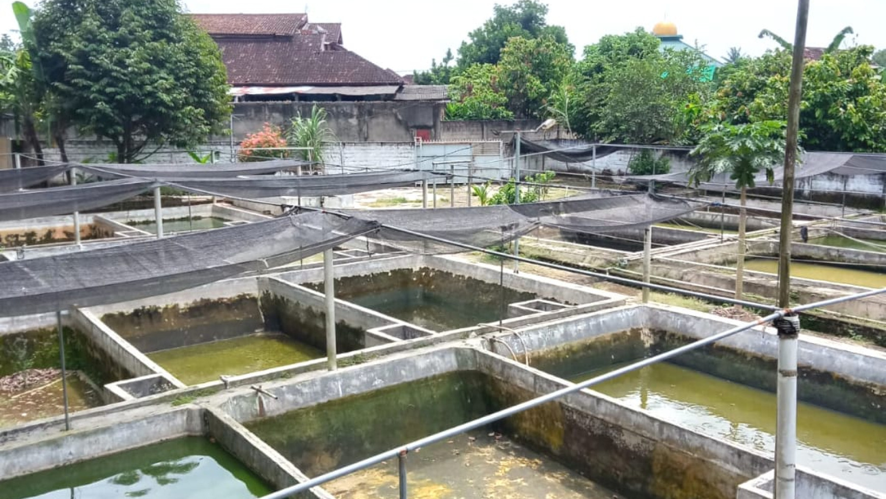 Dijual Tanah Berisi Kolam Ikan