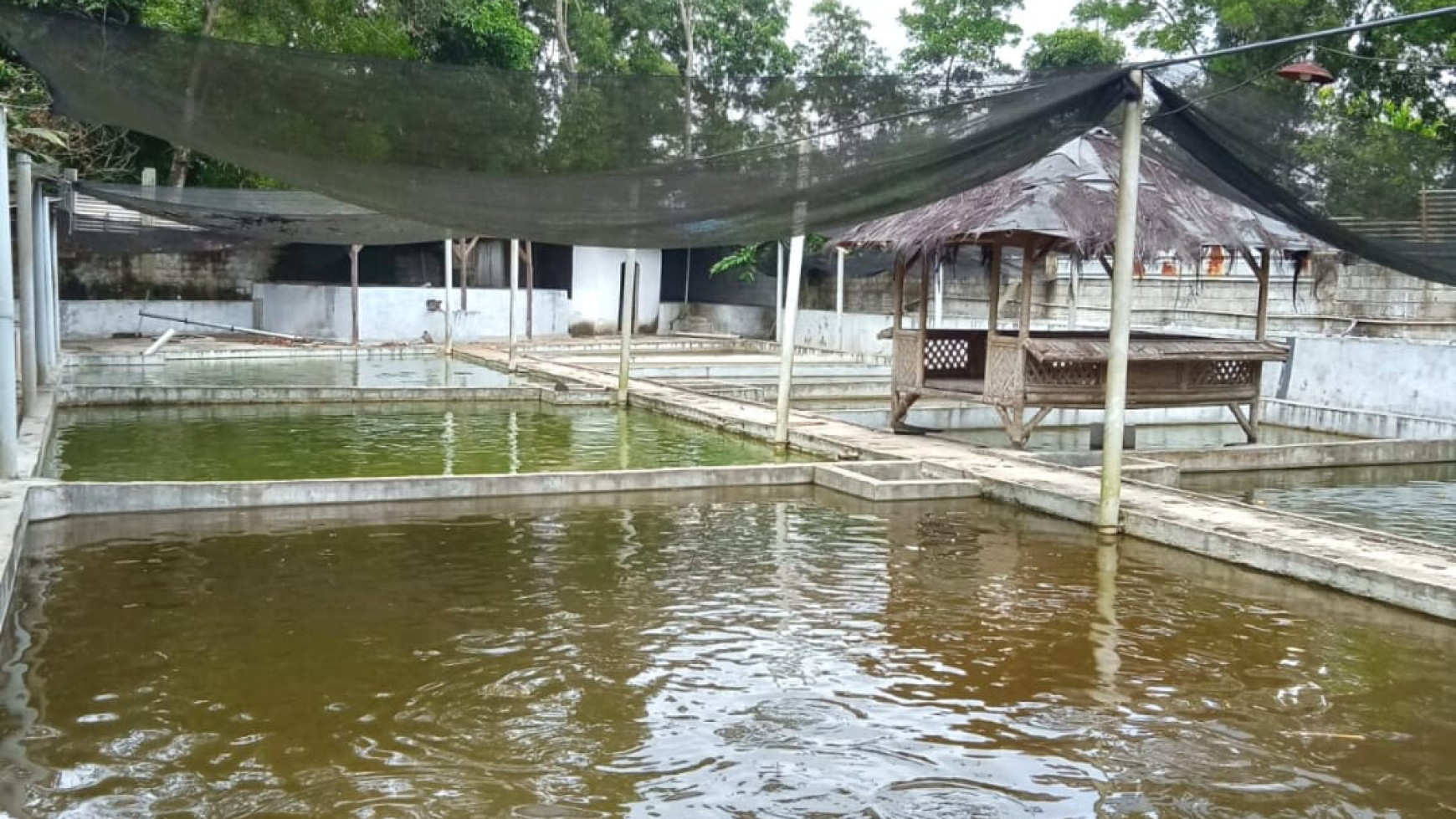 Dijual Tanah Berisi Kolam Ikan