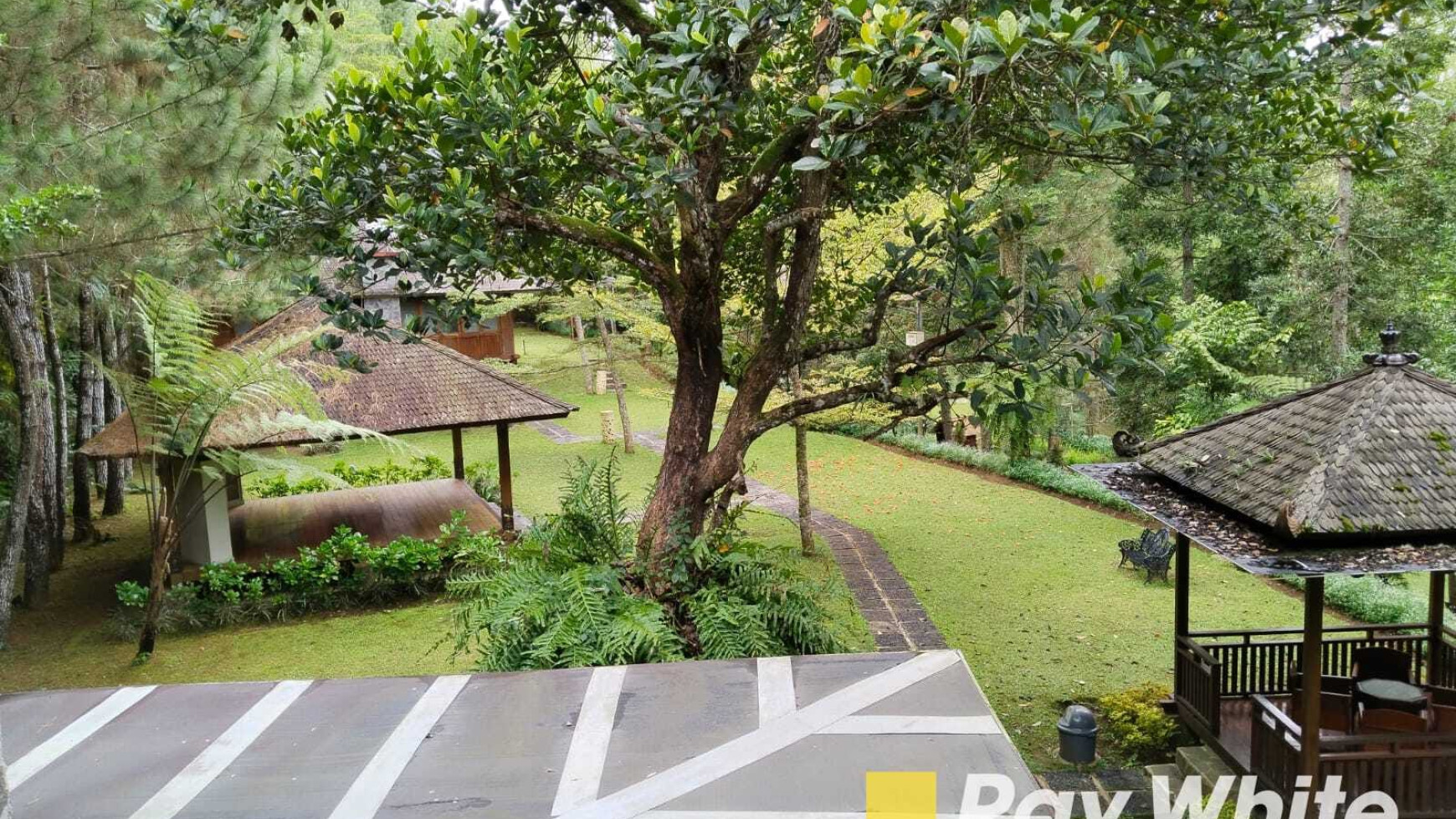 Langka! Villa resort di Maribaya Lembang sangat Asri Nyaman dan menguntungkan!!