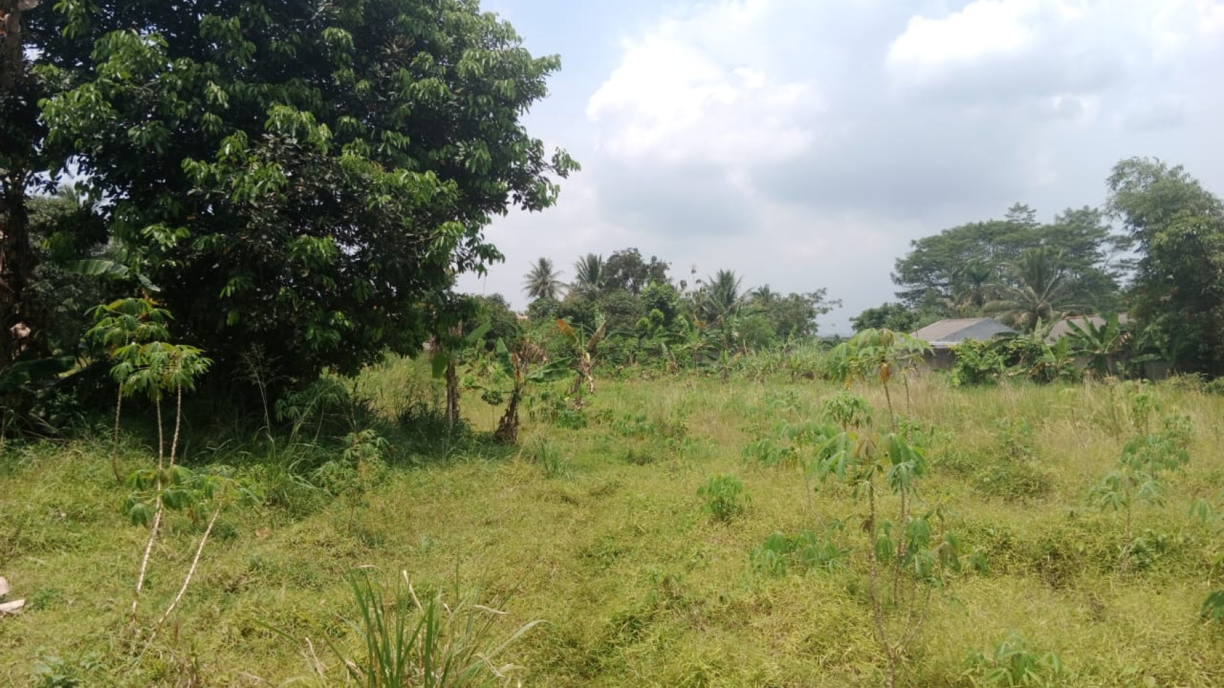 Kavling Siap Bangun Di Jl H Mawih, Ciseeng Bogor