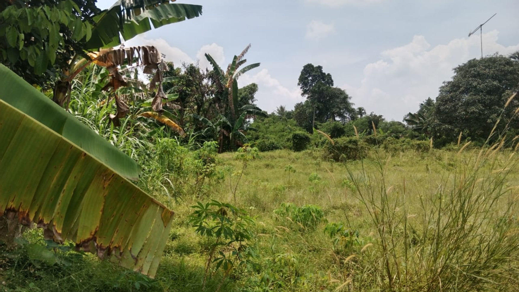 Kavling Siap Bangun Di Jl H Mawih, Ciseeng Bogor