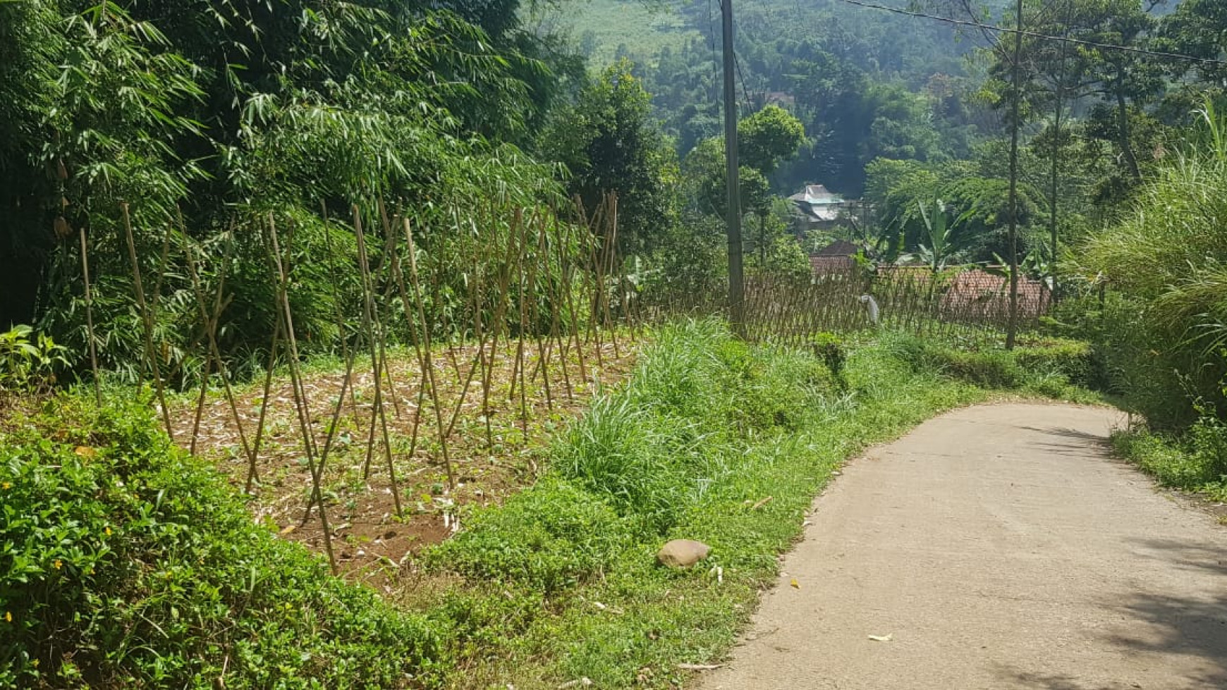 Tanah Sawah Siap Tanam Harga Murah di Pasirjambu Kab. Bandung