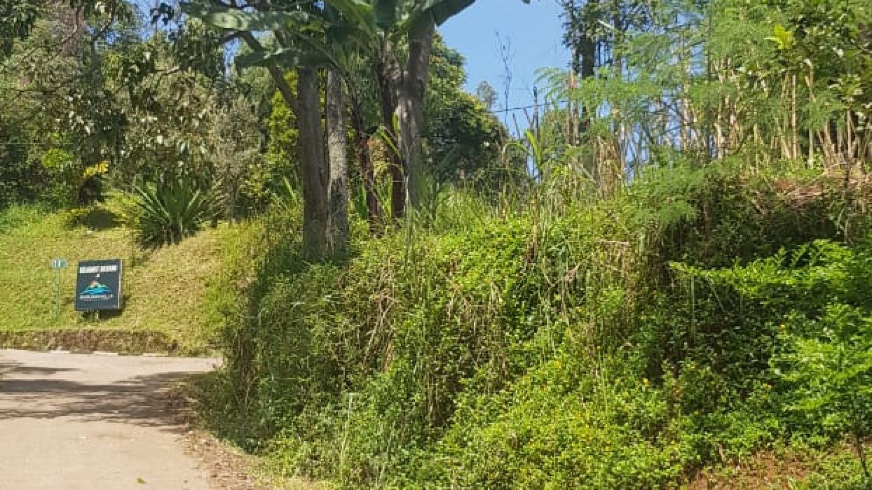 Tanah Sawah Siap Tanam Harga Murah di Pasirjambu Kab. Bandung