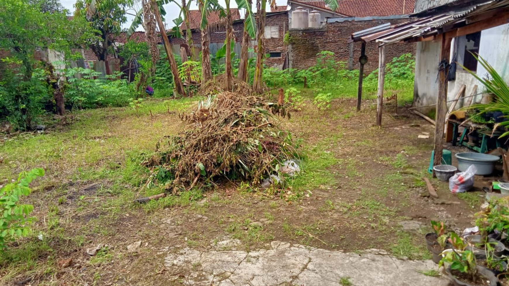 Rumah tua hook di hitung tanah di purwokerto