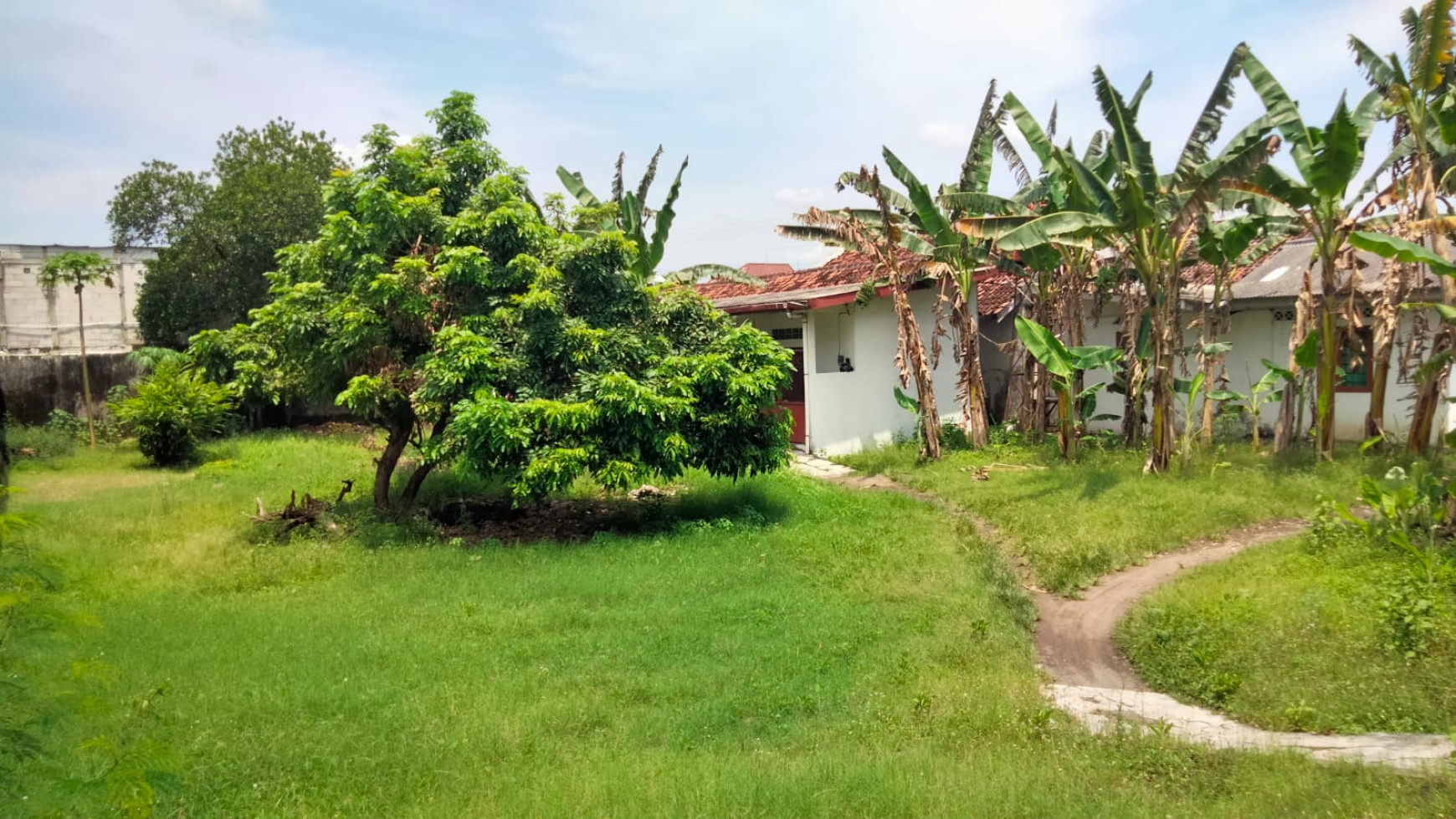 Tanah Pekarangan 1912 Bonus Bangunan Di Panggungharjo Bantul