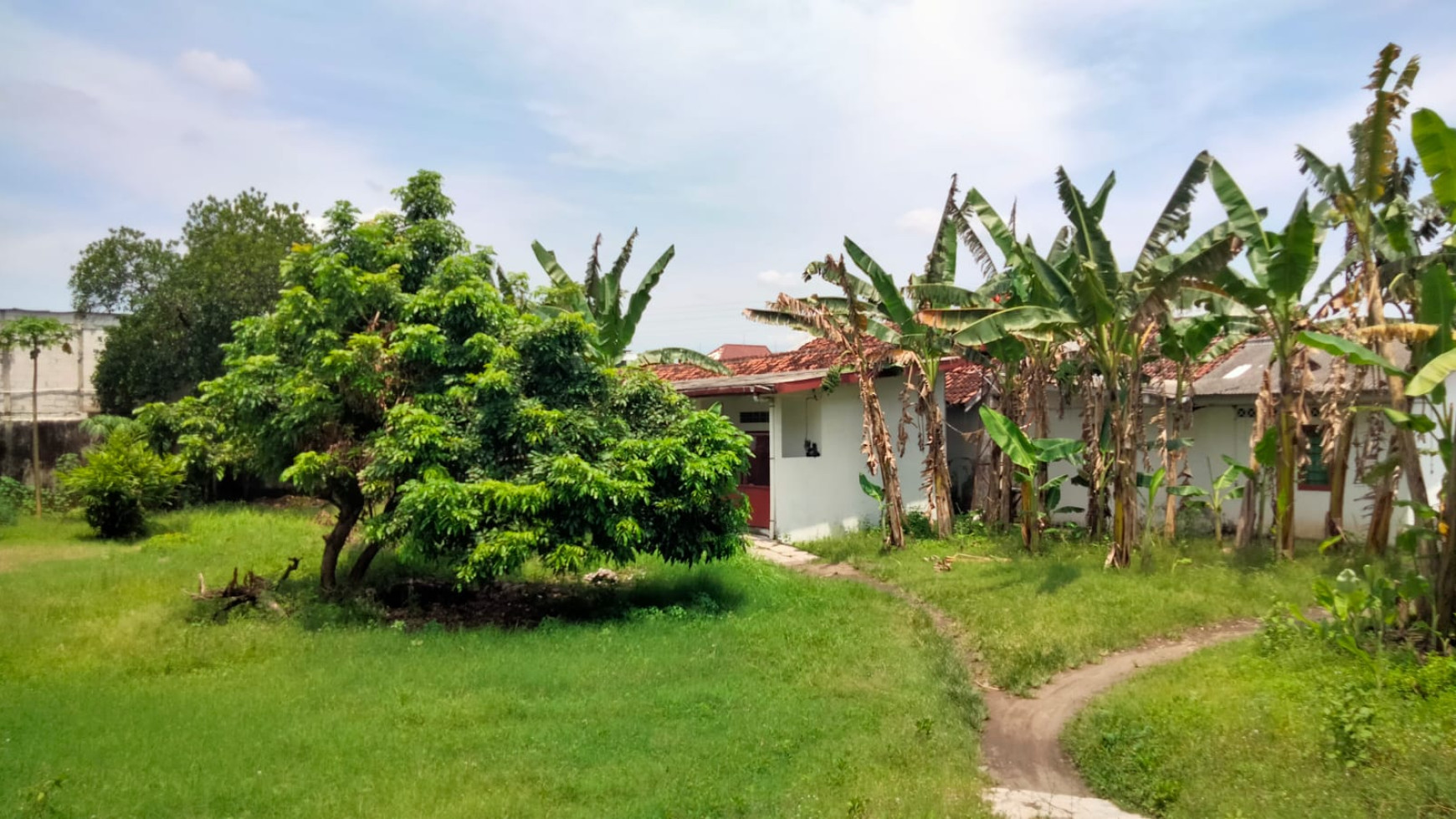 Tanah Pekarangan 1912 Bonus Bangunan Di Panggungharjo Bantul