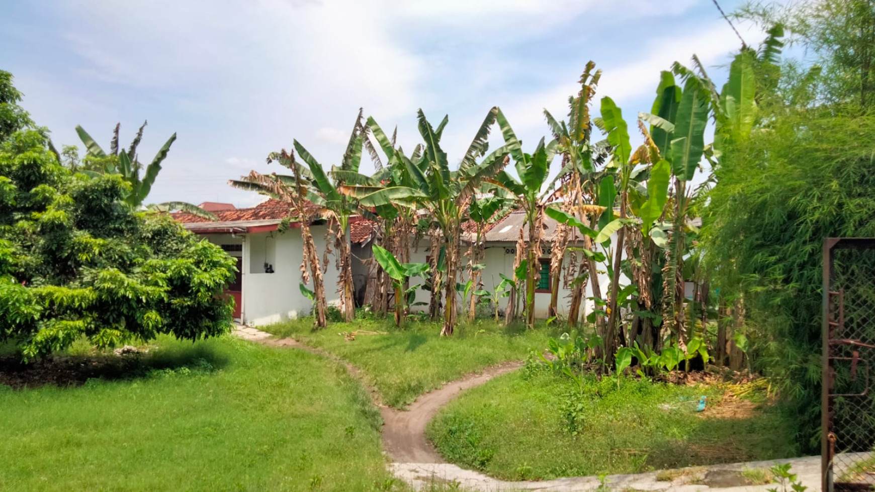 Tanah Pekarangan 1912 Bonus Bangunan Di Panggungharjo Bantul