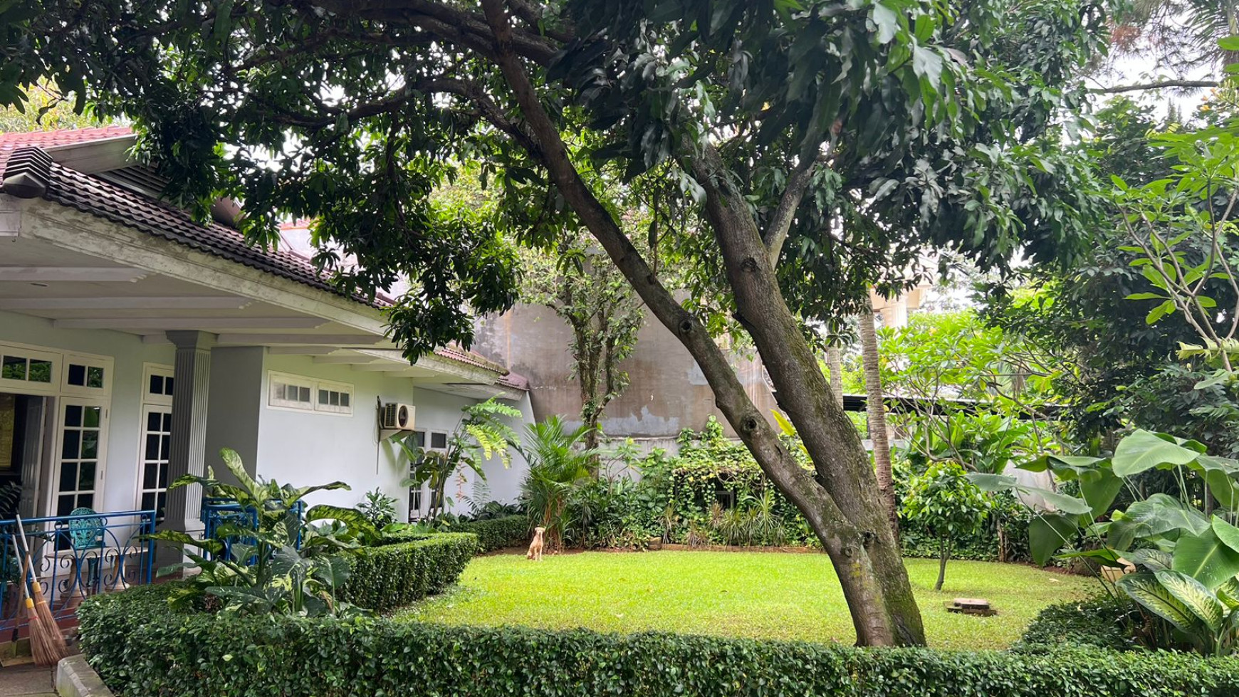 Rumah Hitung Tanah Luas Banget Lokasi Super Bagus Di Jagakarsa