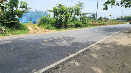 Dijual Tanah Tegineneng, Pesawaran Lampung