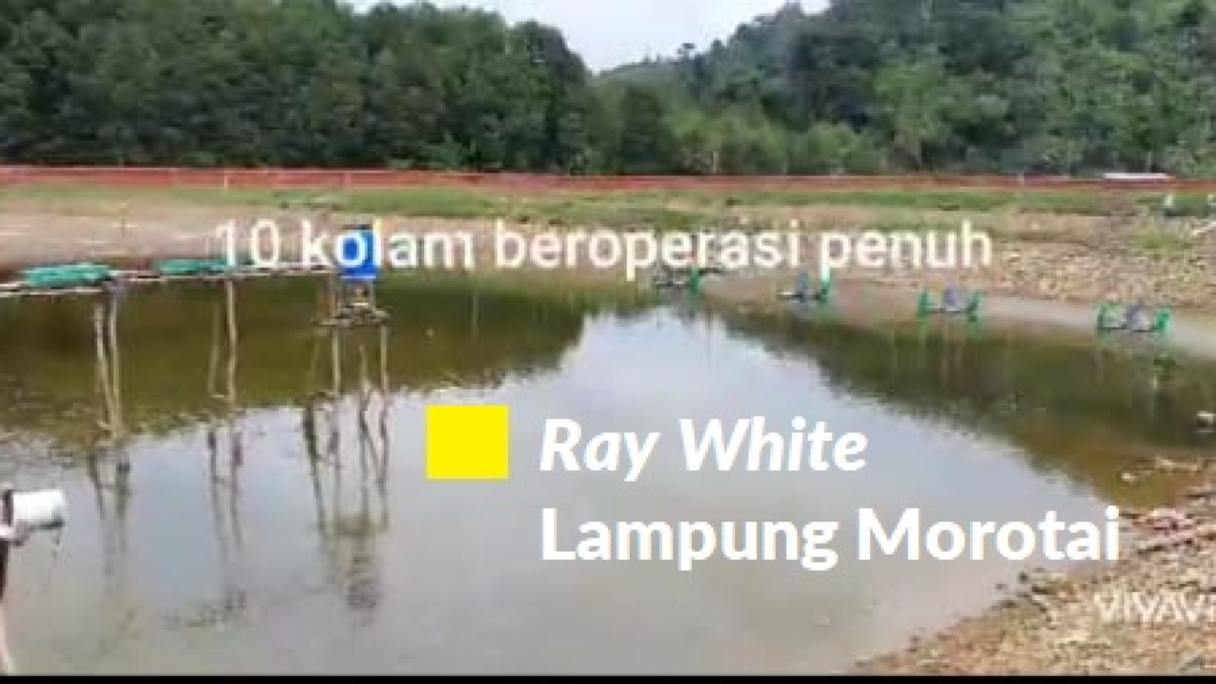 Dijual Tanah Tambak Lampung