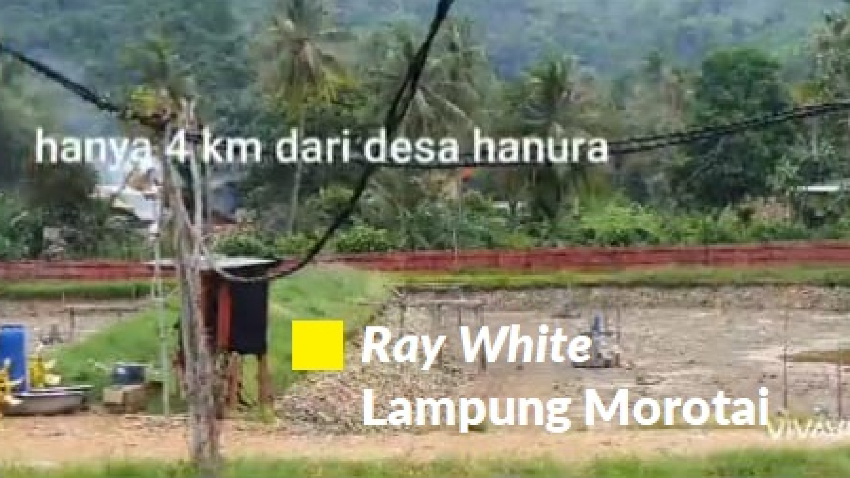 Dijual Tanah Tambak Lampung