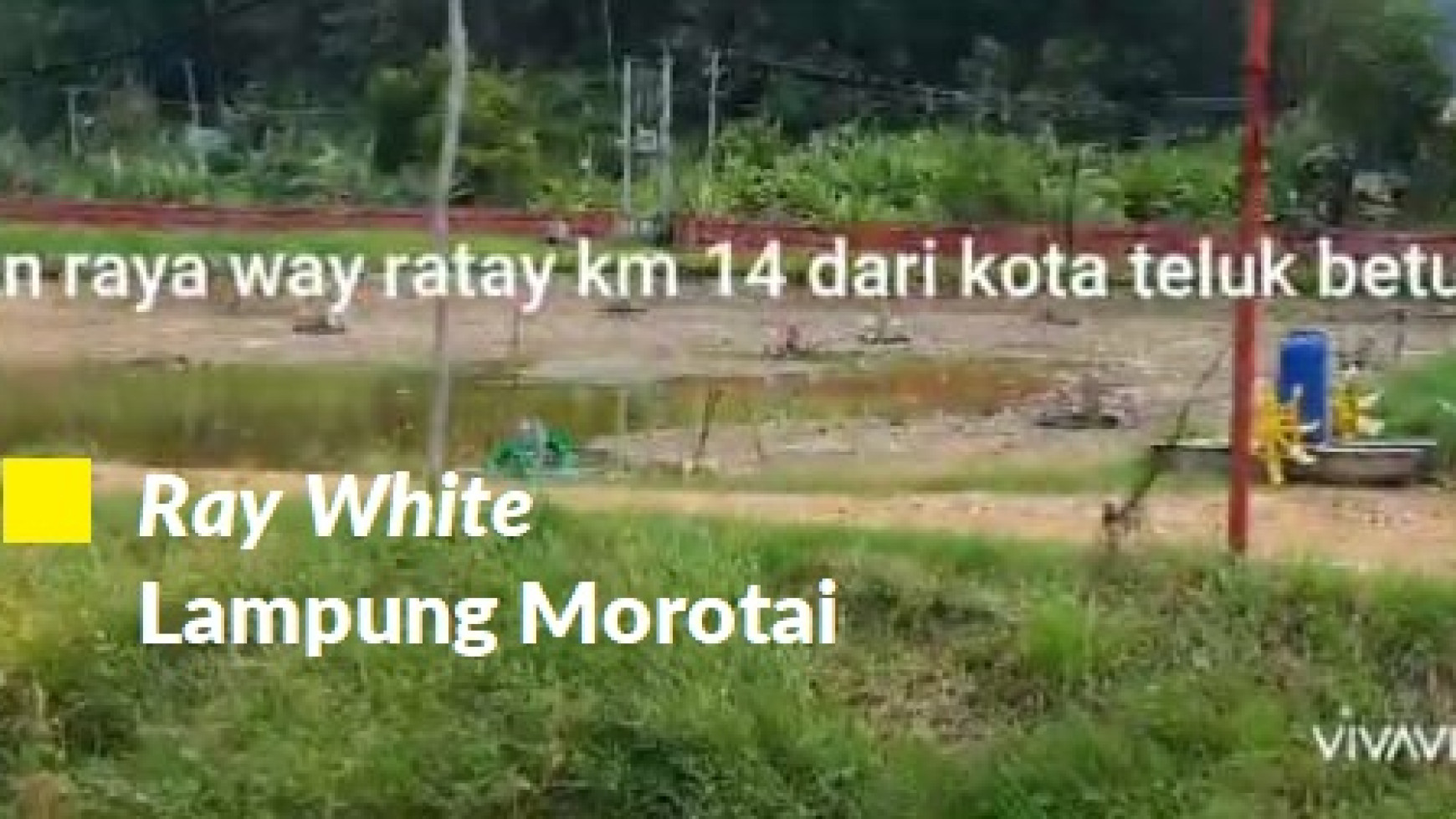 Dijual Tanah Tambak Lampung