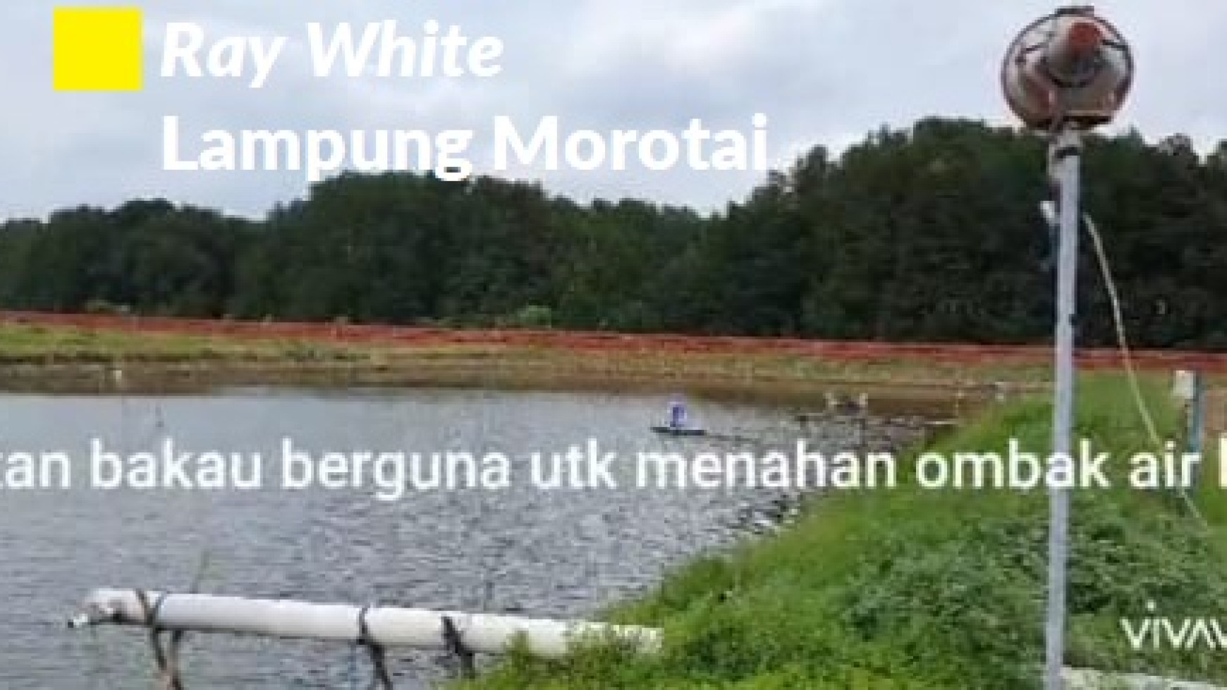 Dijual Tanah Tambak Lampung