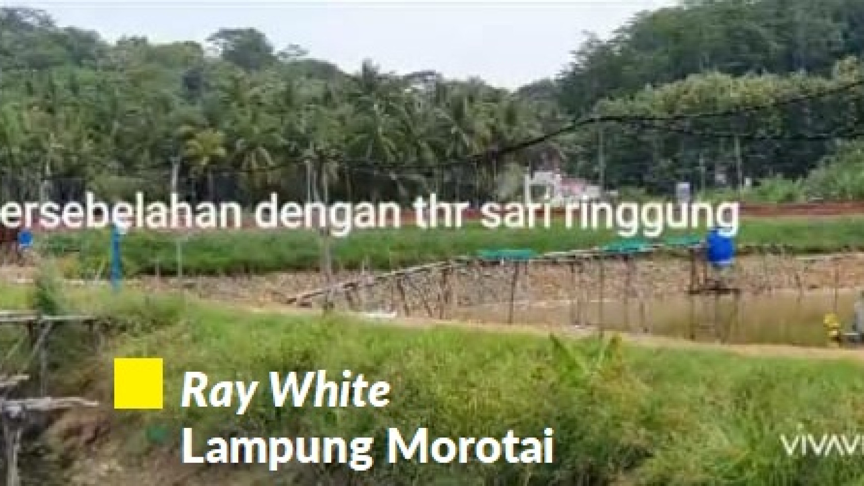 Dijual Tanah Tambak Lampung