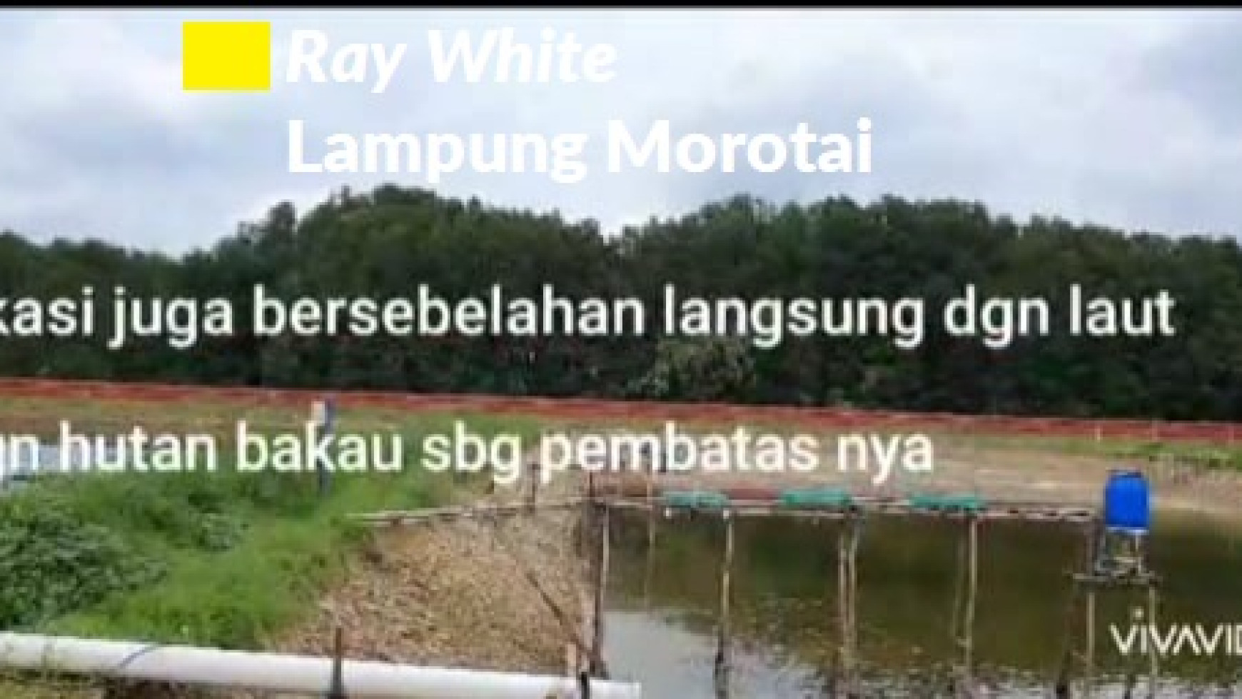 Dijual Tanah Tambak Lampung