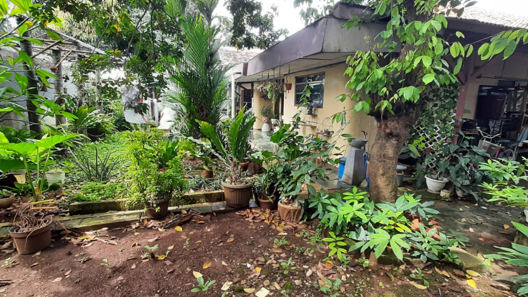 Dijual Tanah di Kebon Jeruk 