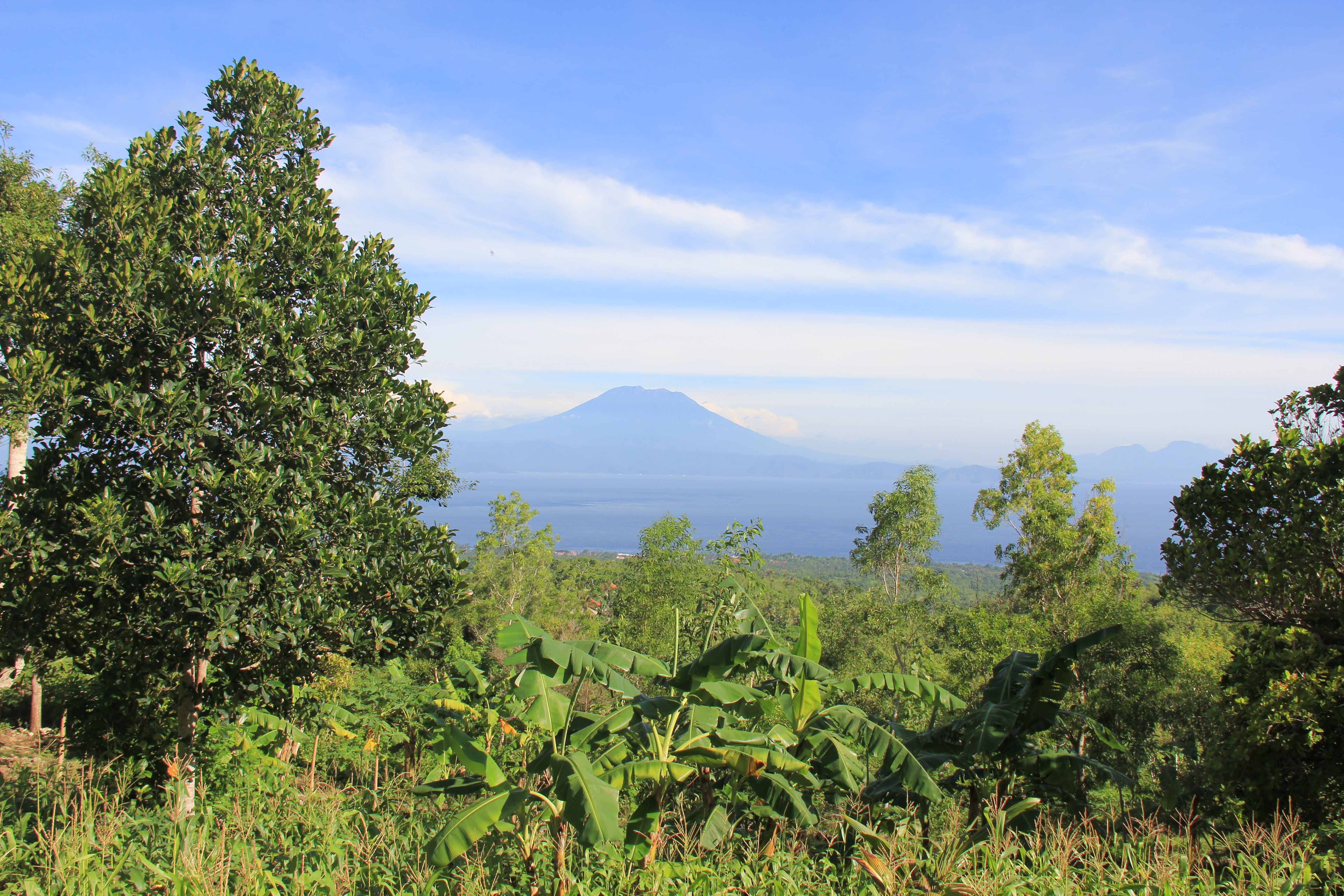 11,100 Sqm Land Freehold In Kutampi Nusa Penida