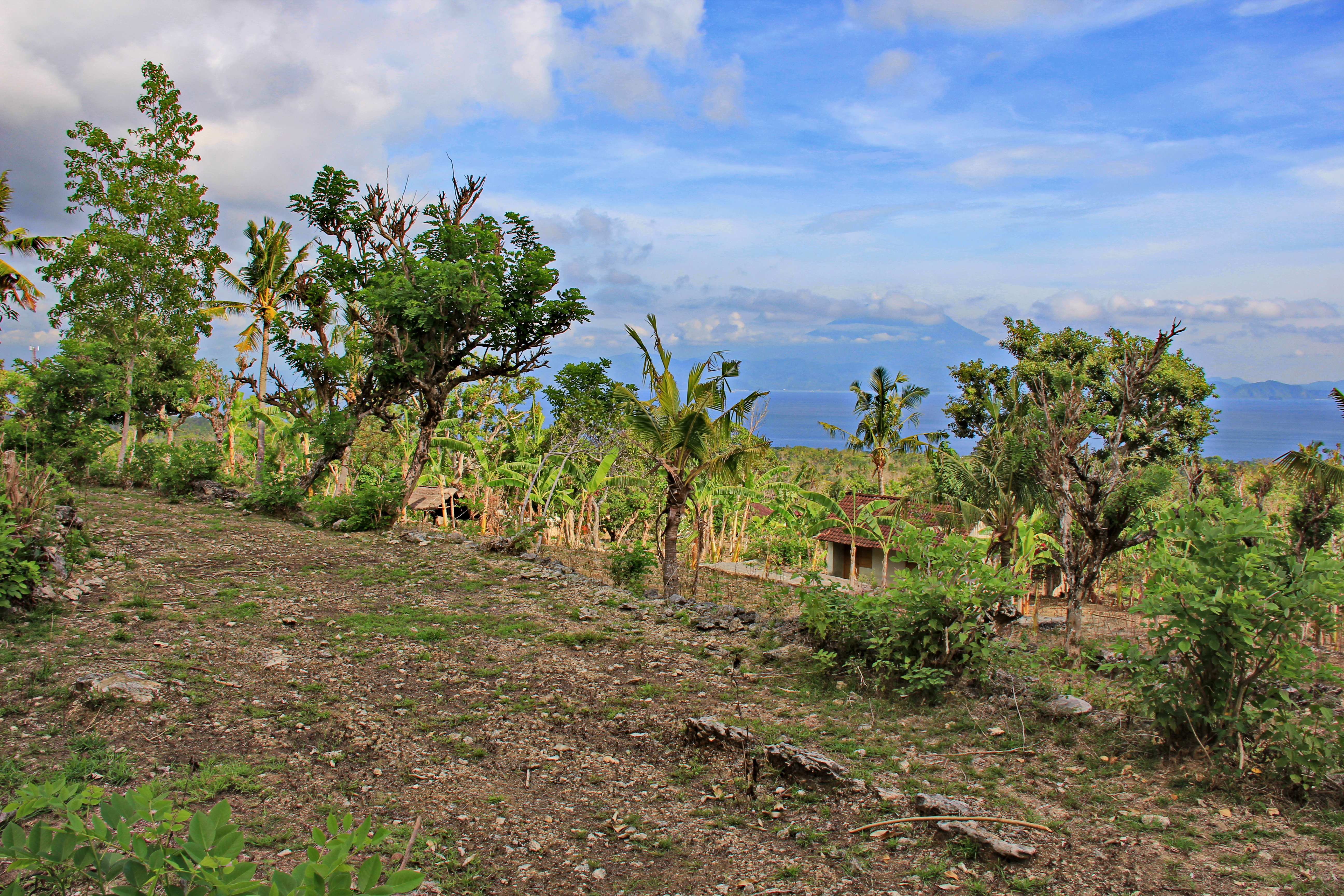 11,100 Sqm Land Freehold In Kutampi Nusa Penida