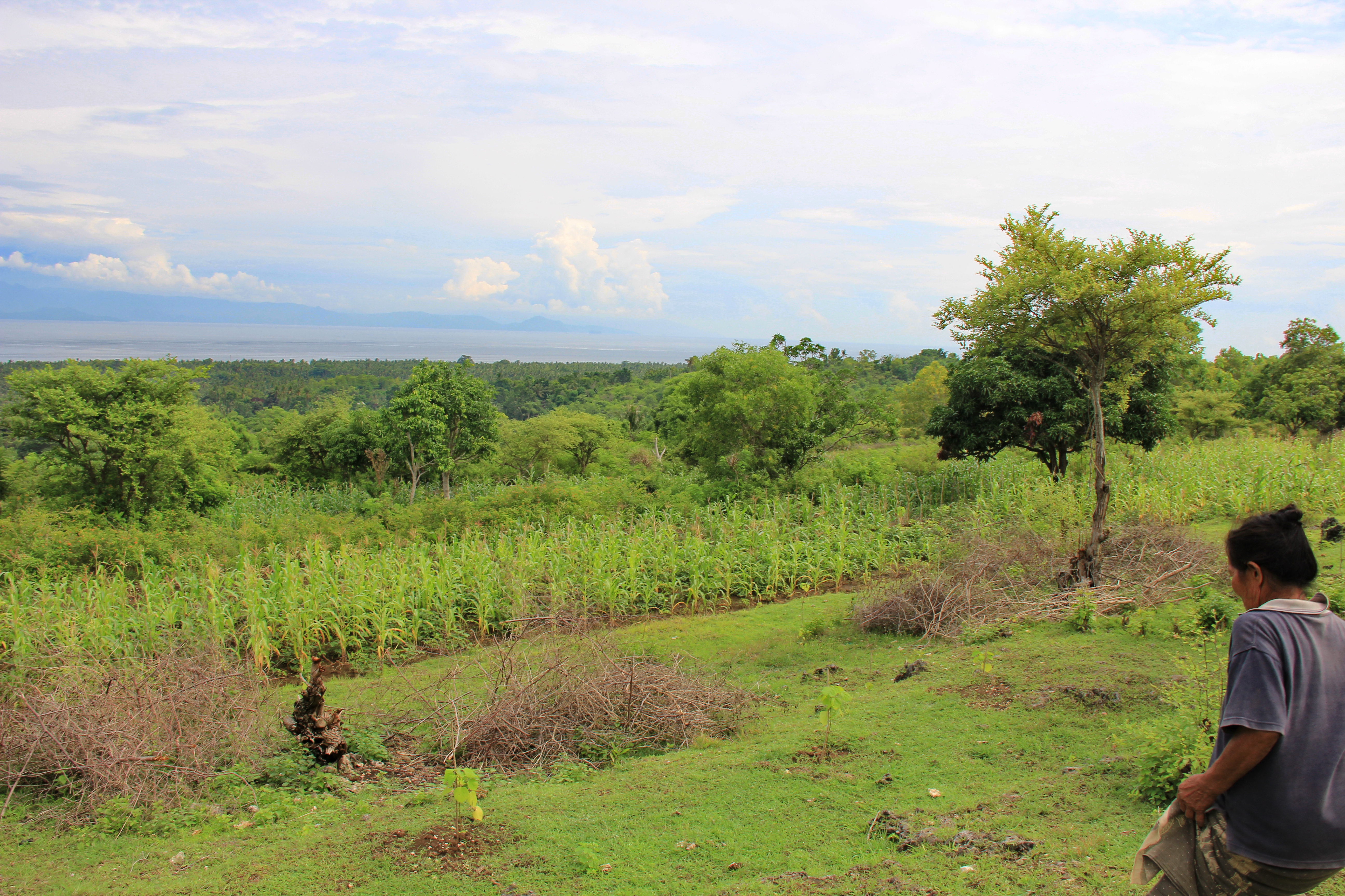  Freehold Land In Toya Pakeh Nusa Penida