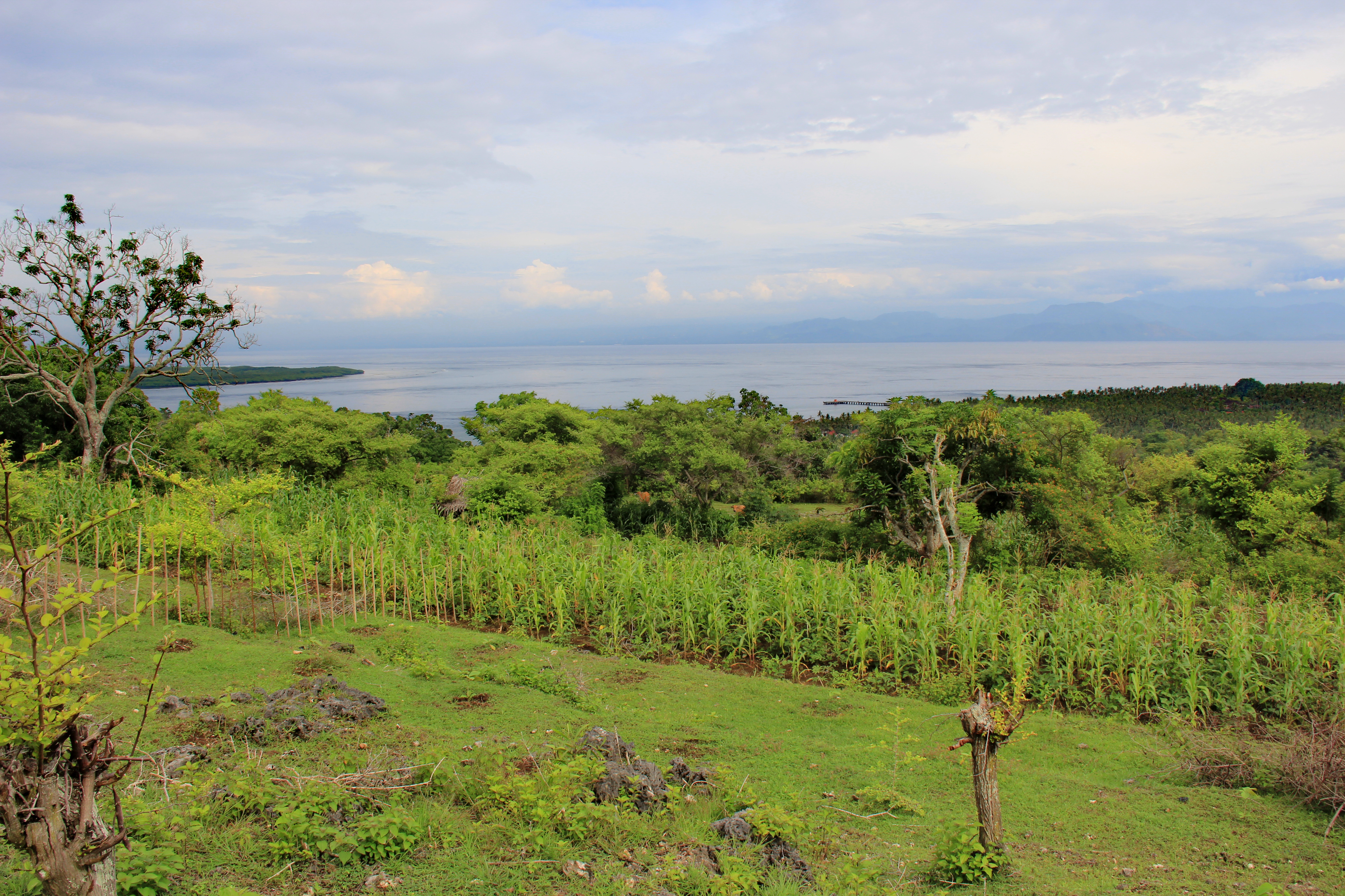  Freehold Land In Toya Pakeh Nusa Penida