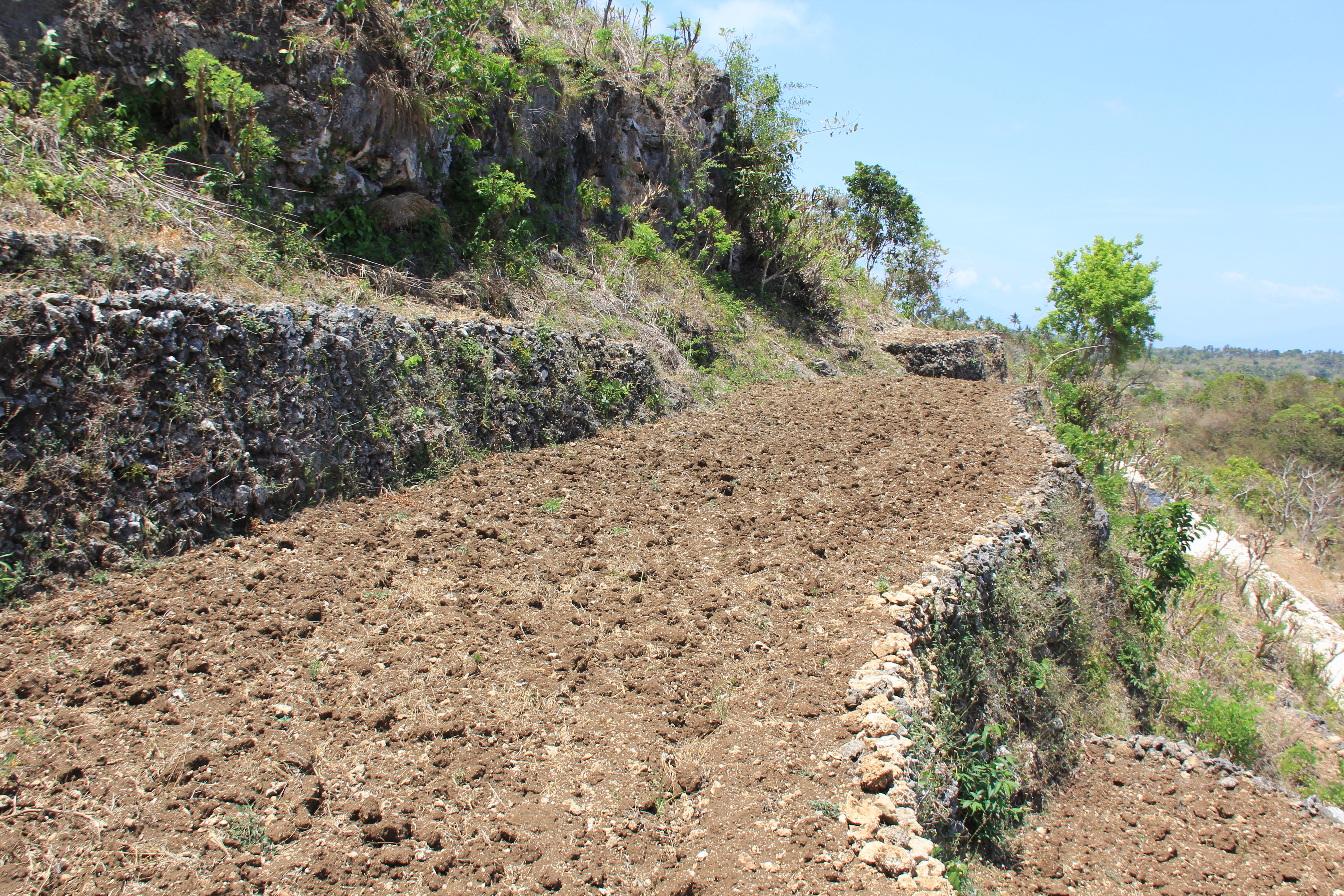 8700 Sqm Land Freehold Tanglad / Batu Atuh Nusa Penida