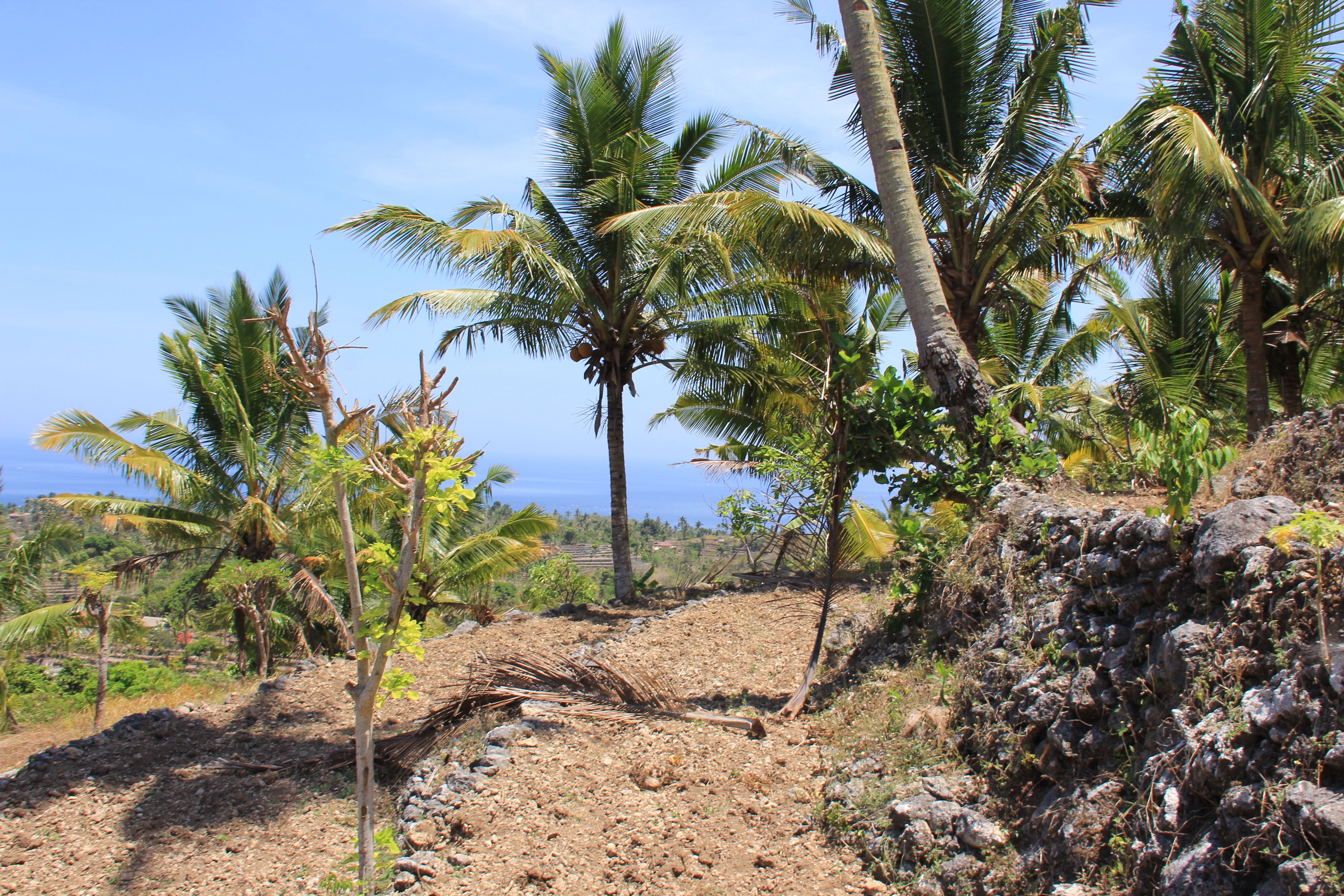 8700 Sqm Land Freehold Tanglad / Batu Atuh Nusa Penida