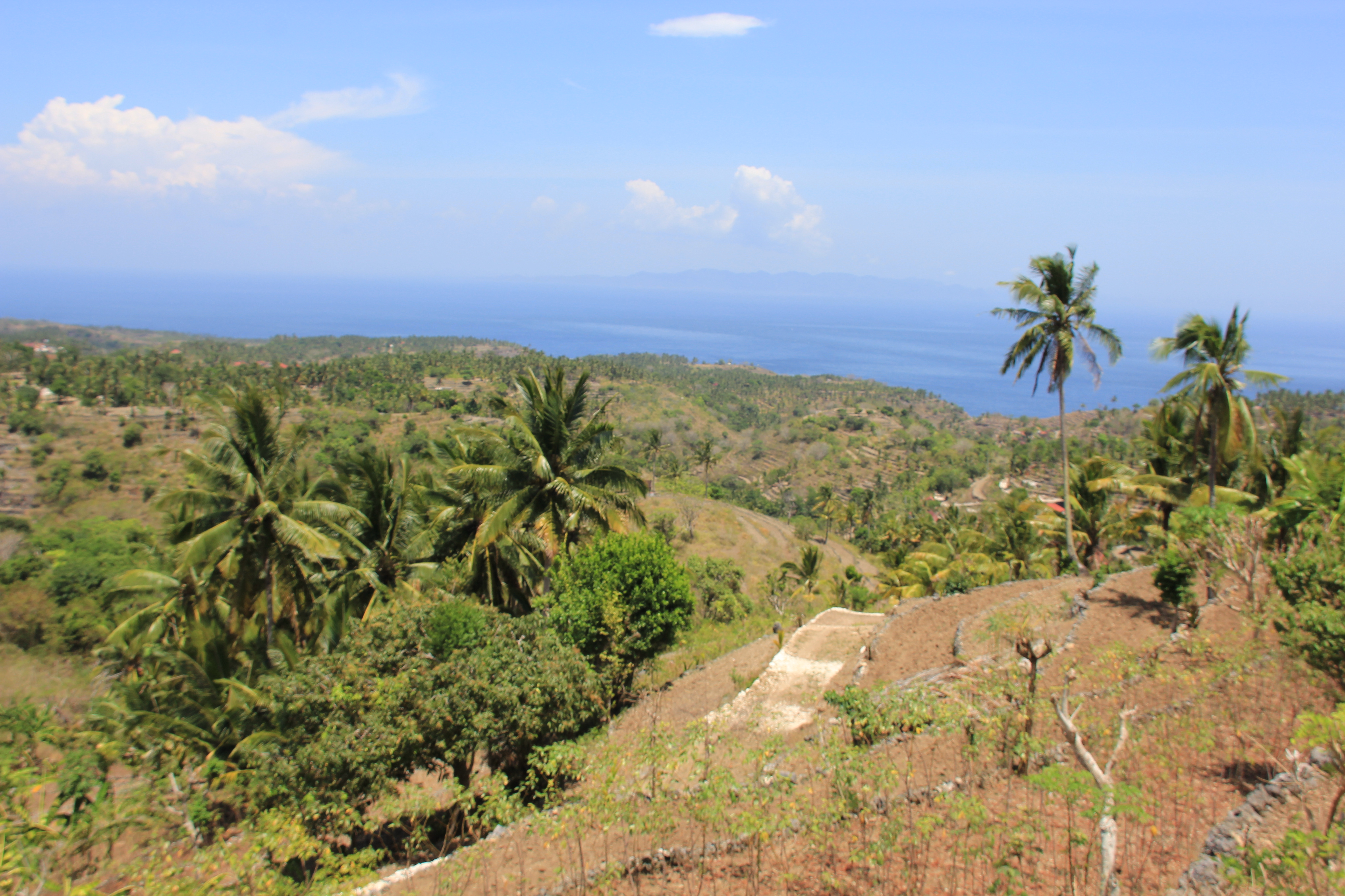 8700 Sqm Land Freehold Tanglad / Batu Atuh Nusa Penida