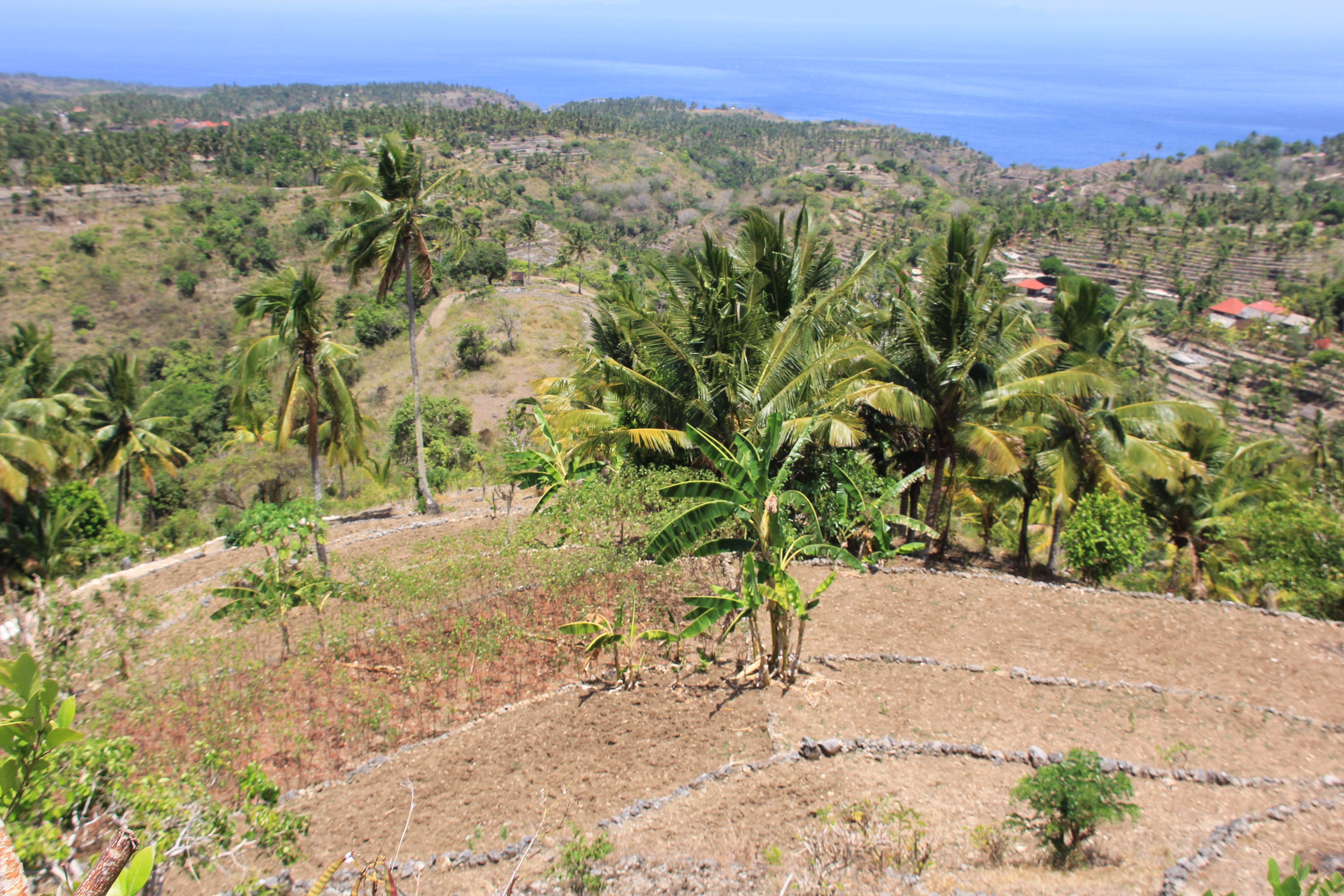 8700 Sqm Land Freehold Tanglad / Batu Atuh Nusa Penida