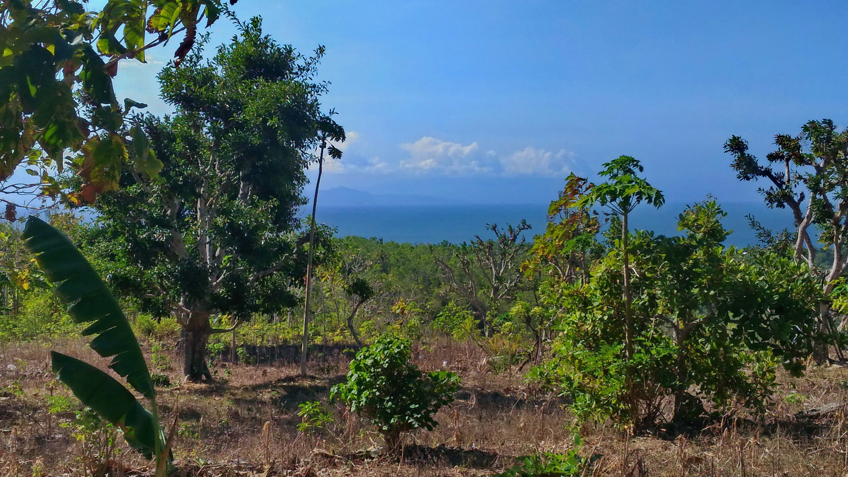 9000 Sqm Land Freehold In Kutampi Kaler Nusa Penida