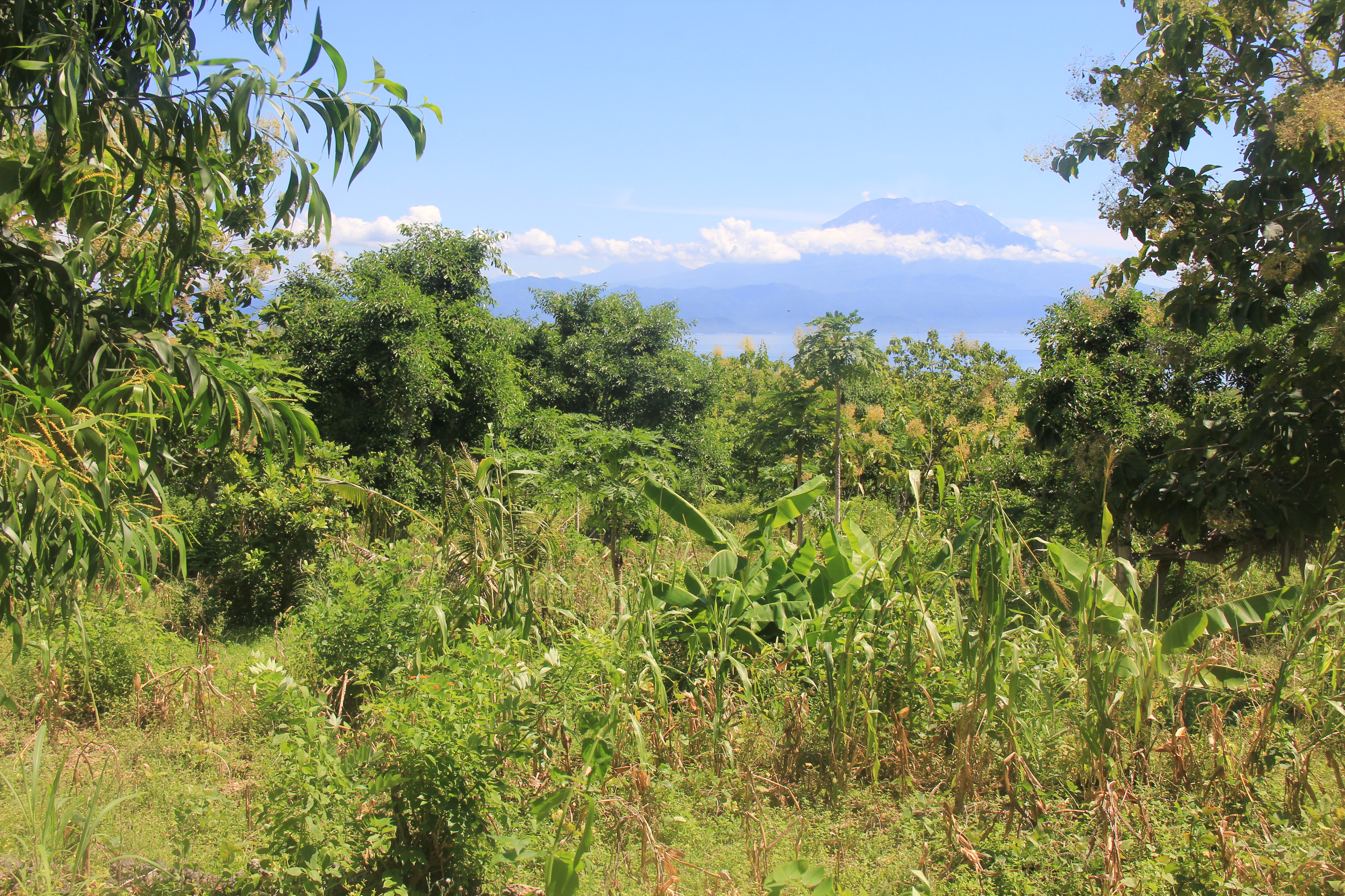 9000 Sqm Land Freehold In Kutampi Kaler Nusa Penida