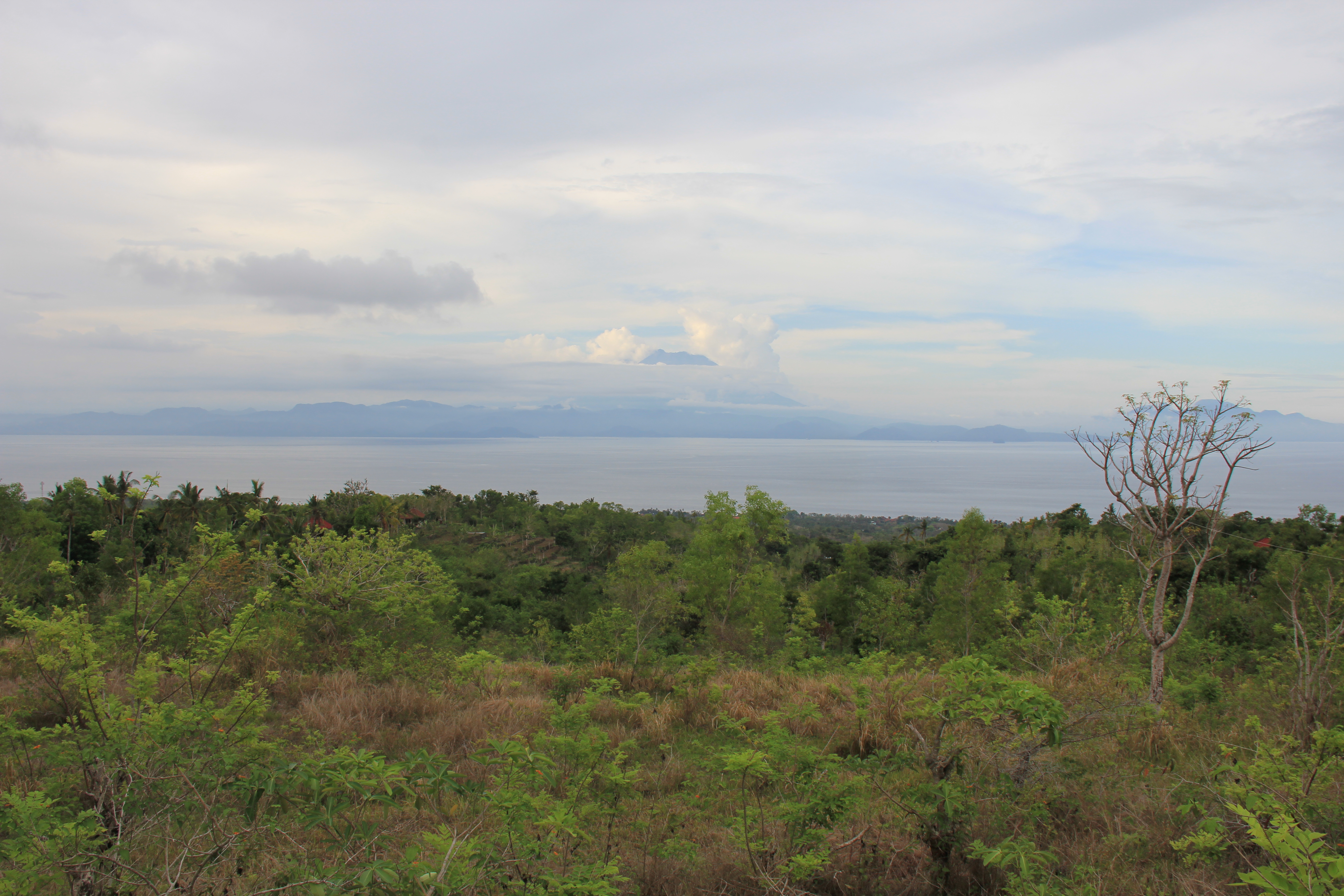 11,000 Sqm Land Freehold In Bukit Mundi Nusa Penida