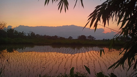 Land Freehold 9800 Sqm In Klungkung Klotok