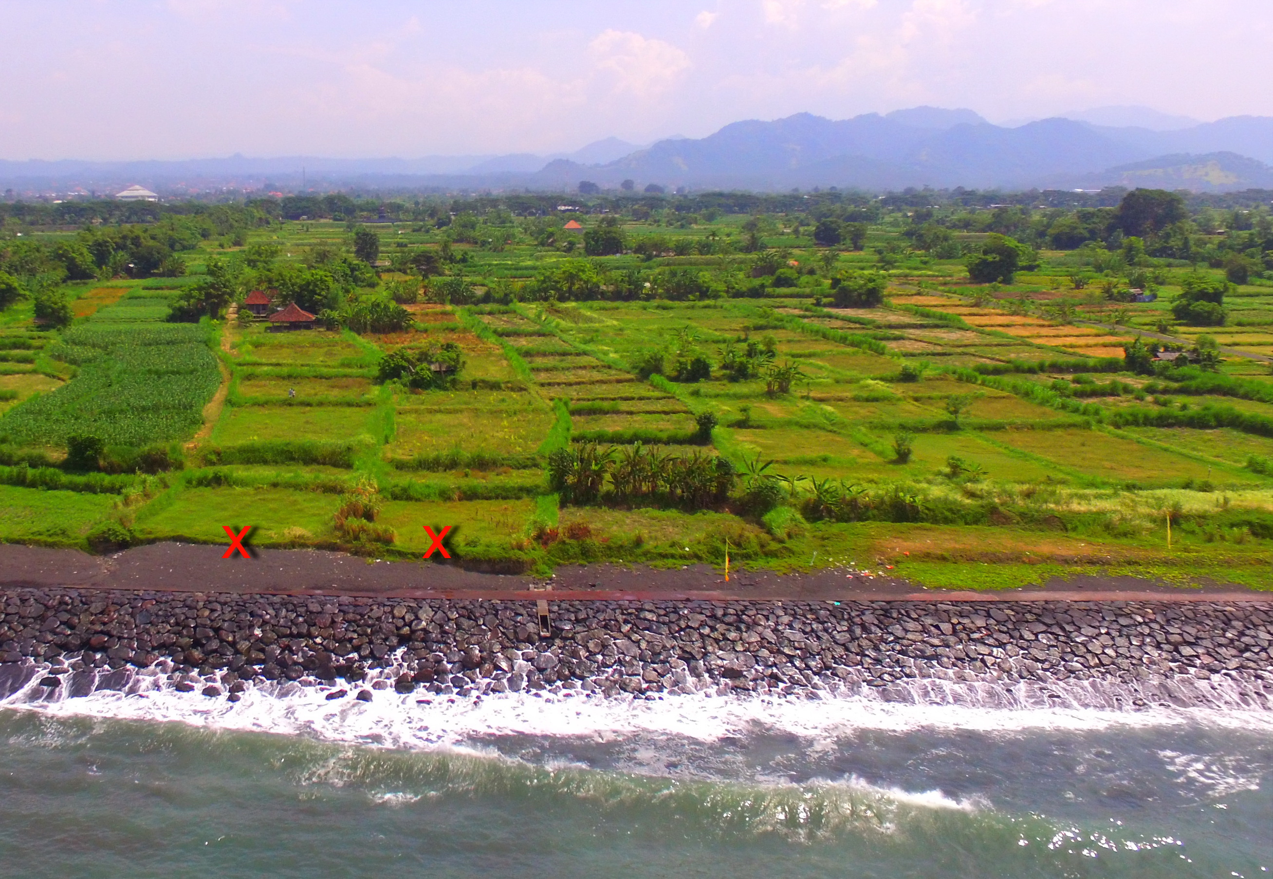 Land Freehold 9800 Sqm In Klungkung Klotok