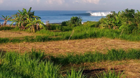 2400 Sqm Freehold Land in Klotok Klungkung Bali