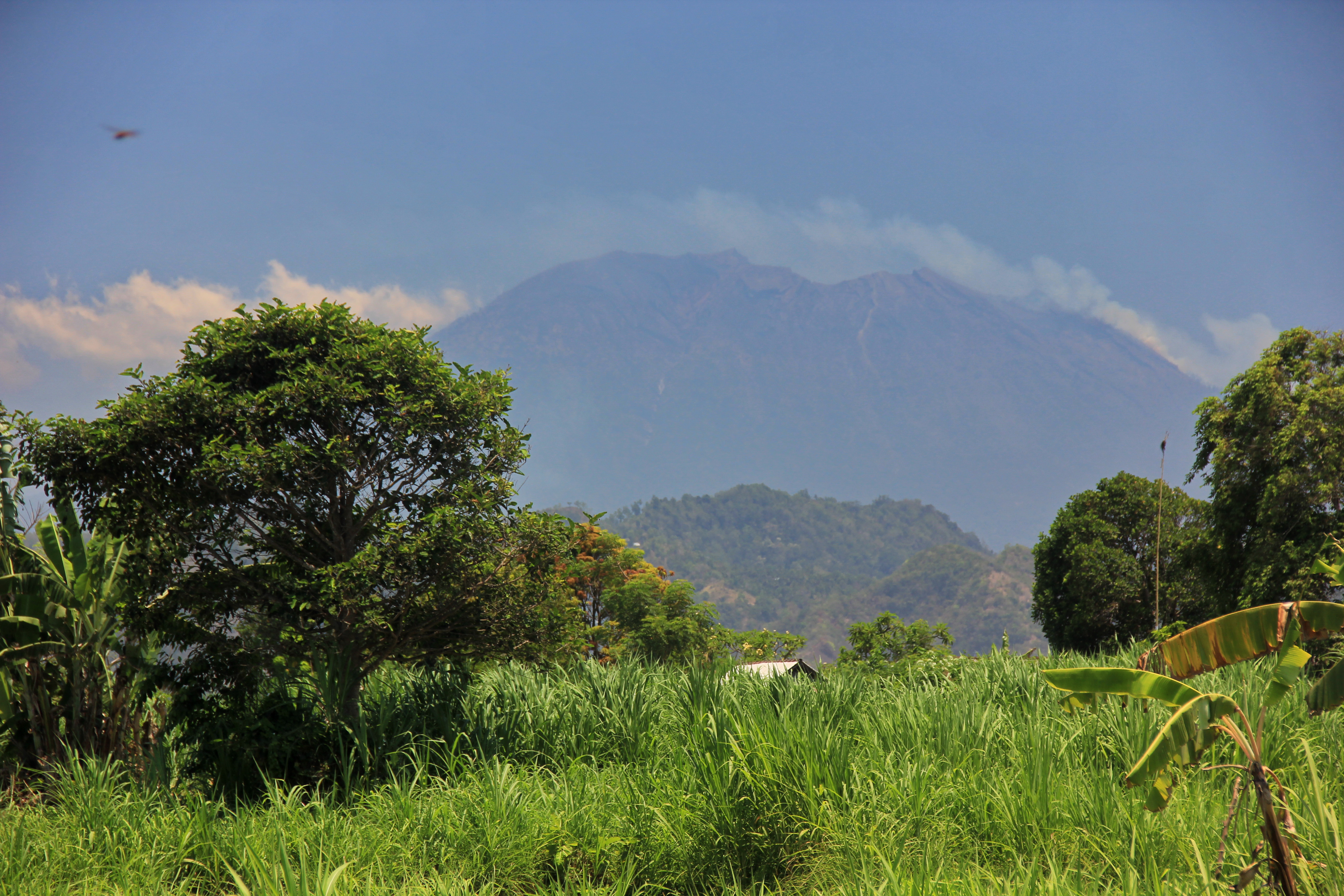 2400 Sqm Freehold Land in Klotok Klungkung Bali