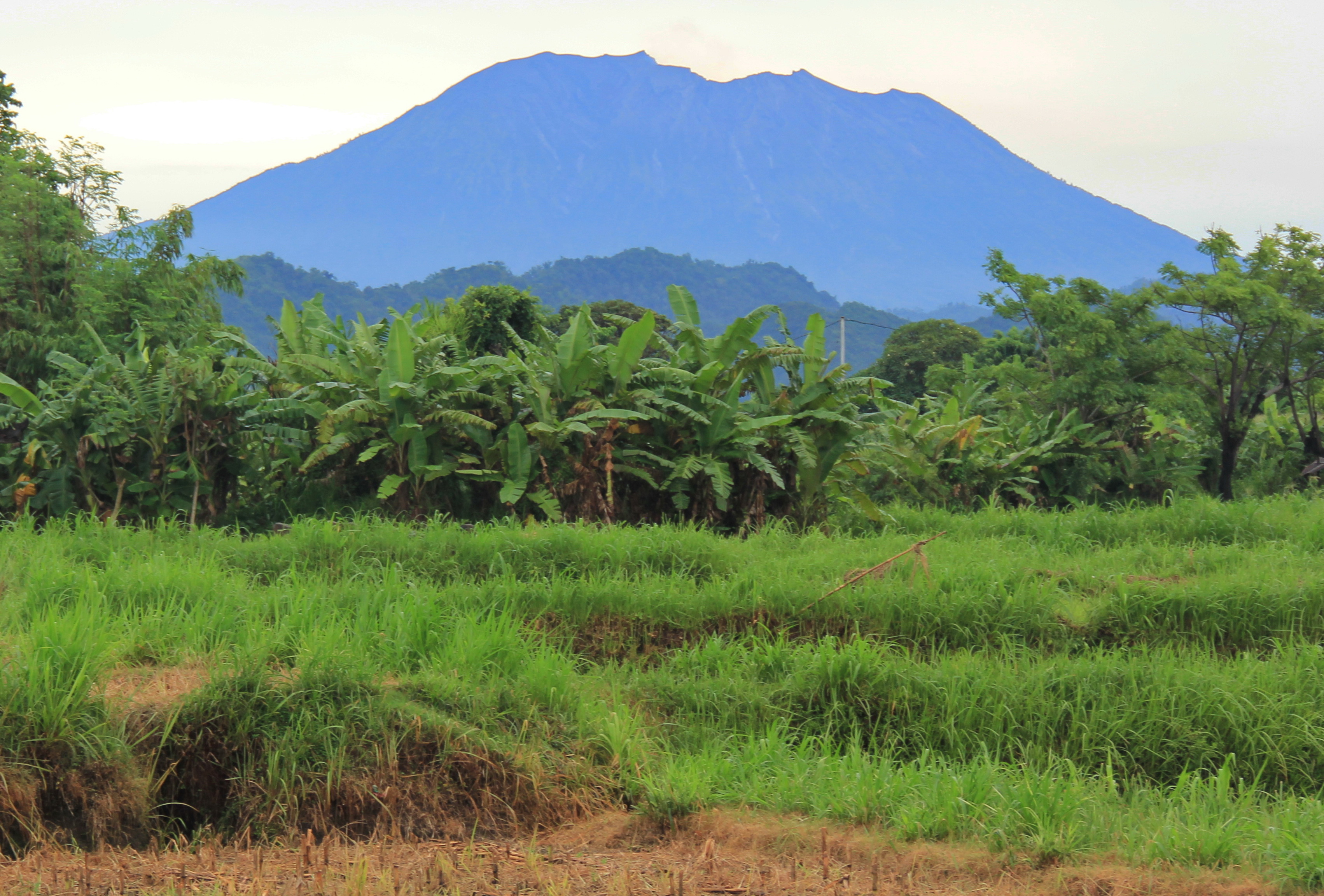 2400 Sqm Freehold Land in Klotok Klungkung Bali